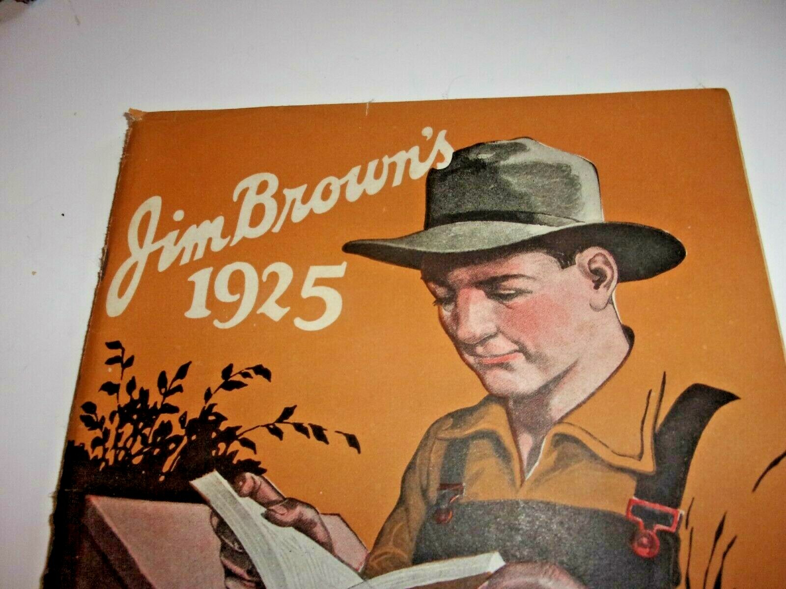 JIM BROWN’S 1925 BARGAIN BOOK CATALOG BROWN’S FENCE & WIRE, CLEVELAND, OHIO