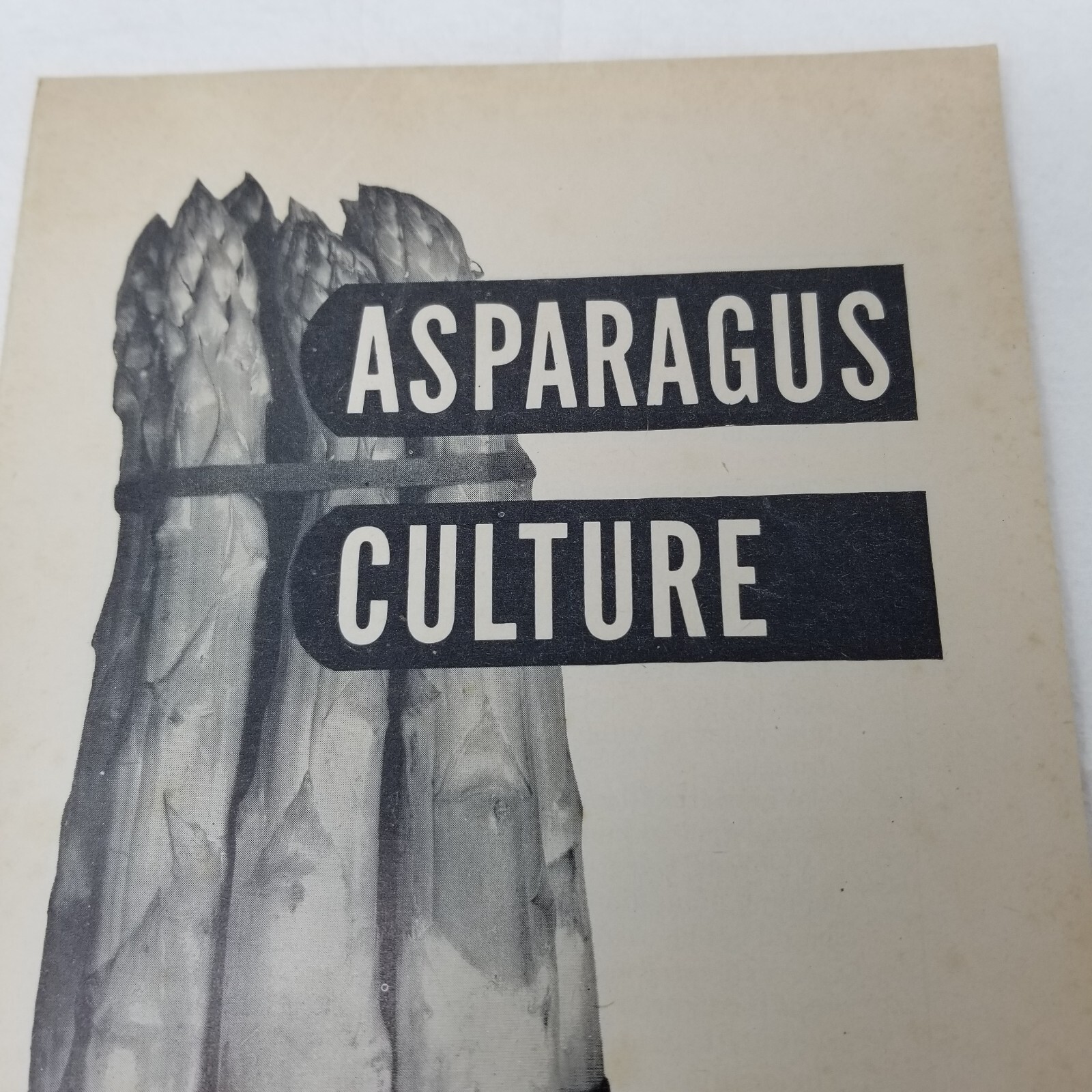 Asparagus Growing Culture 1947 Farmers’ Bulletin Booklet 1646 USDA Photos Charts