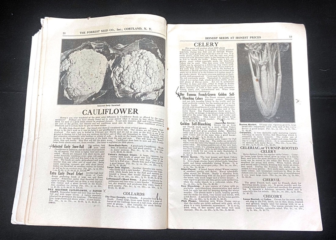 1925 and 1926 FORREST’S HONEST SEEDS – FORREST SEED CO CATALOGUES – TWO Each 72p