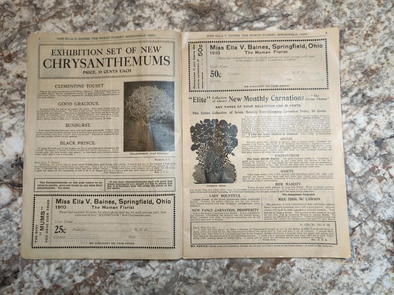 1910 The Woman Florist, Miss Ella V Baines Spring Illustrated Catalogue