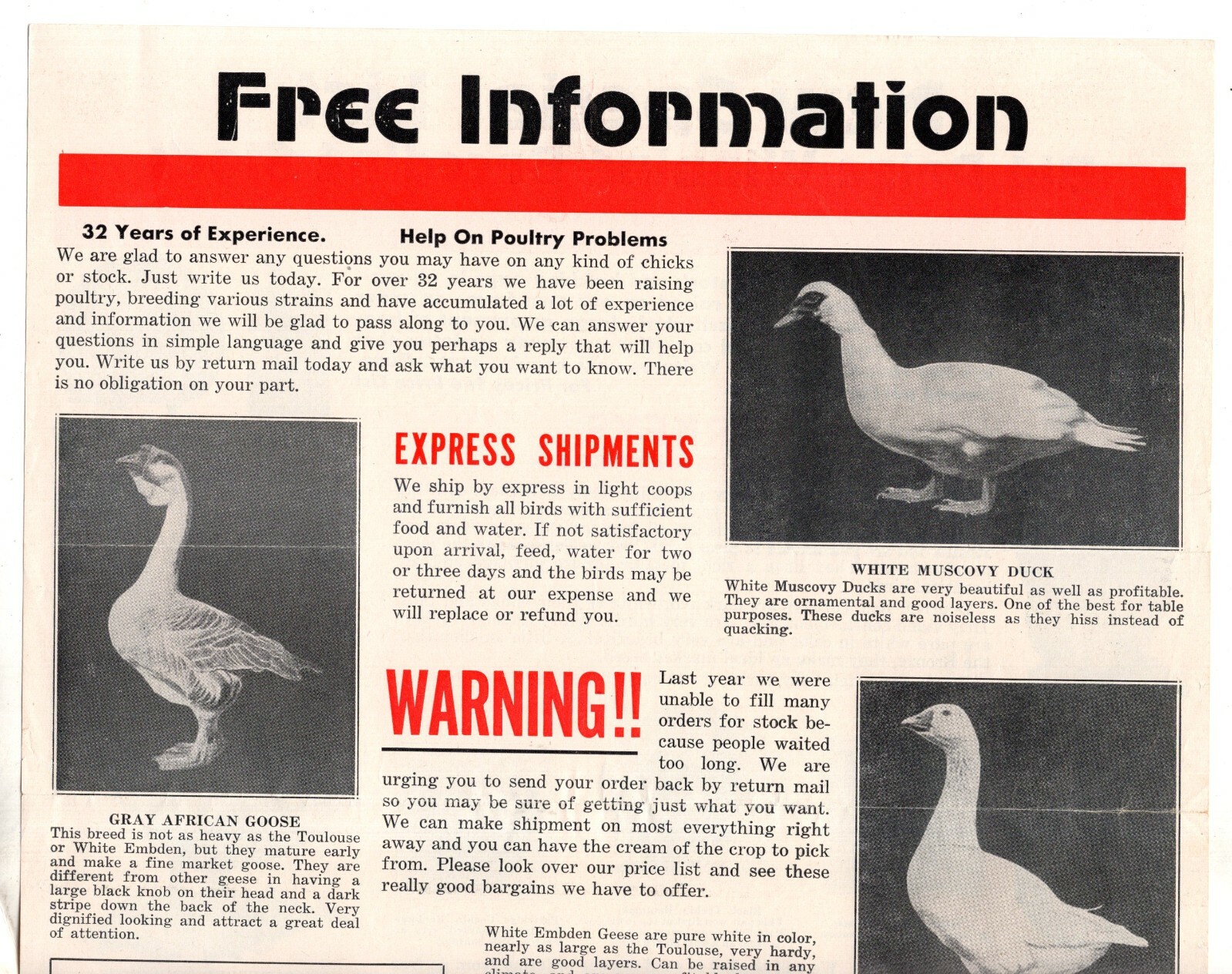 McMURRAY HATCHERY Ducks BANTAM Turkey 1940’s Catalog Brochure Webster City IA