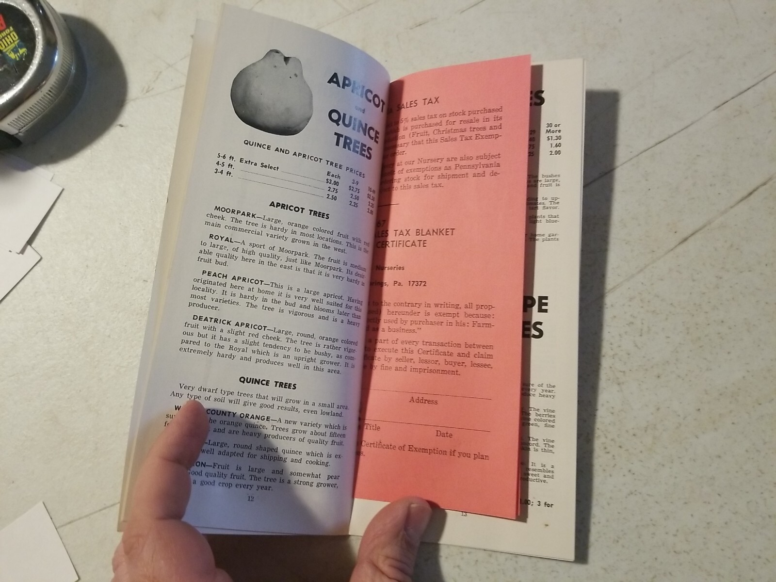 Vintage 1967 Worley’s Nurseries Orchard Fruit Trees Brochure. York Springs,PA