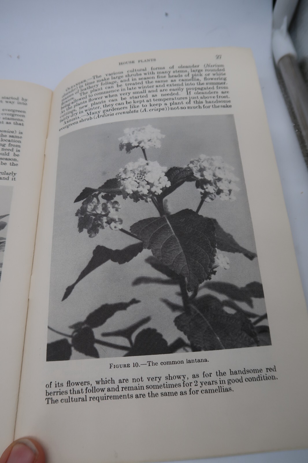 1941 USDA Farmers’ Bulletin No. 1872 House Plants Ephemera Furman Lloyd Mulford