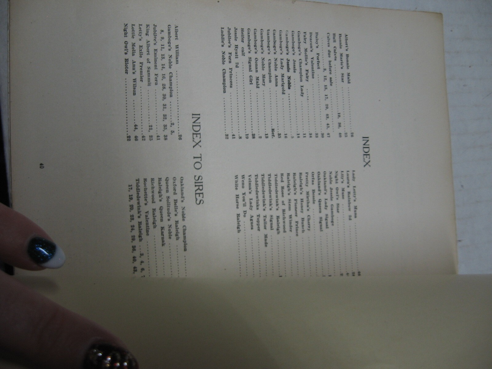 1920 Mr. Coe Laughlin Belle Center Ohio Registered Jersey Cattle Auction Listing