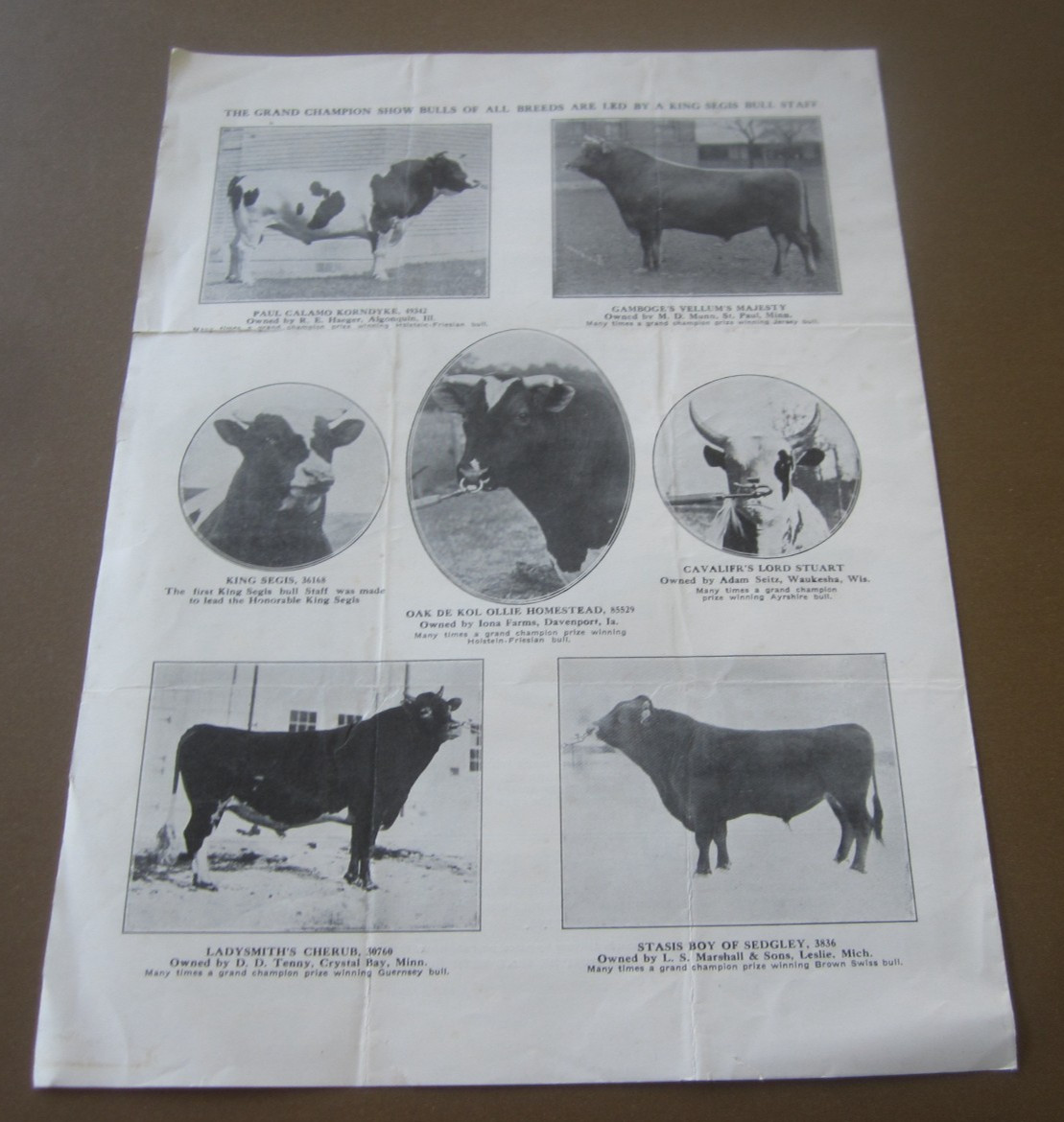 1910’s – KING SEGIS – Lock Ear Tags – Bull Rings – CATTLE – Advertising Brochure