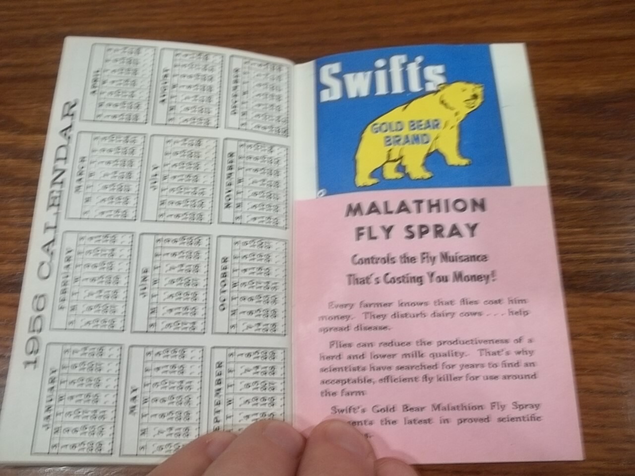 1955 Swift’s Red Steer Memo Book & Growth Meter Agriculture Farm Animals