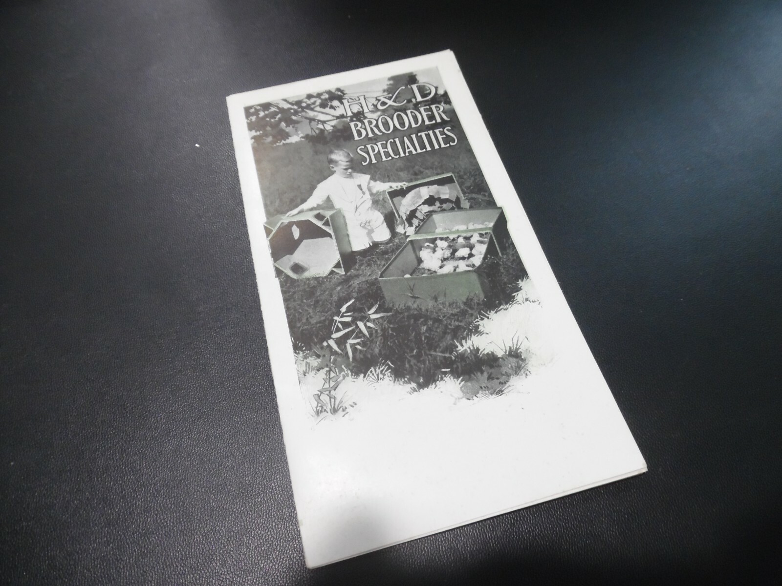 EARLY 1900’s BROODER CHICKEN HATCHING EGGS AGRICULTURE ADVERTISING BROCHURE