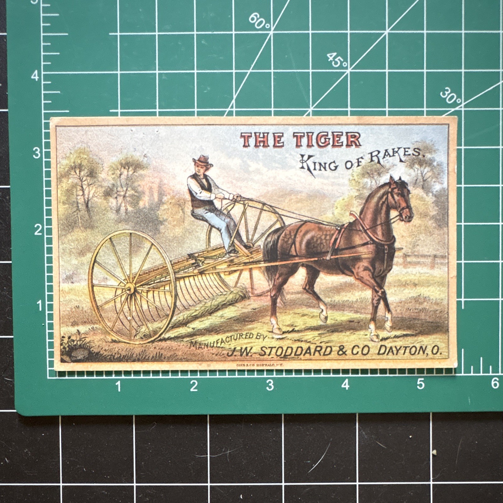 J.W. Stoddard & Co. “The Tiger King of Rakes” Trade Card, Multicolor 1878