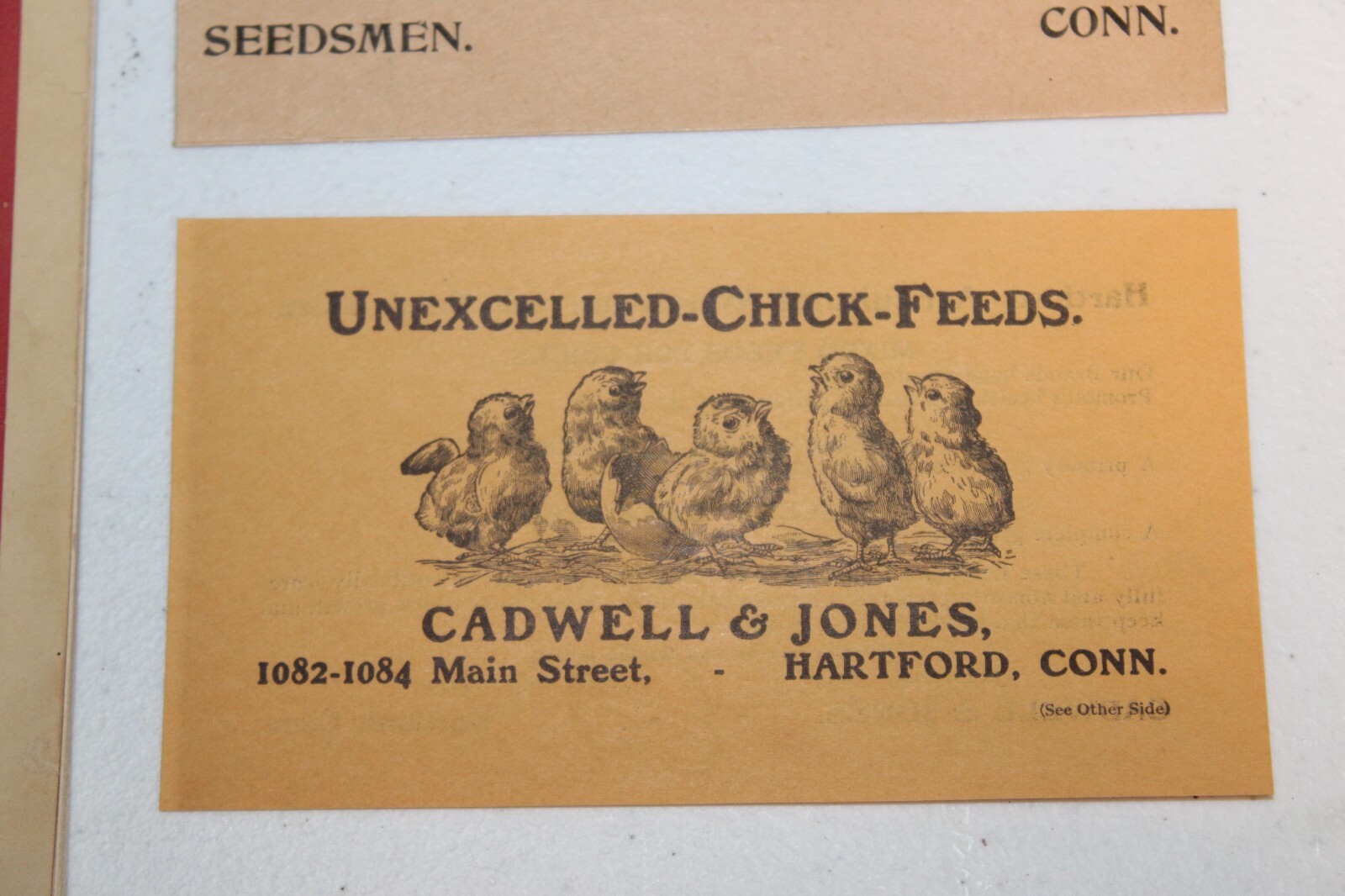 Vtg 1904 Advertising Catalog Caldwell & Jones Seeds & Agricultural Implements