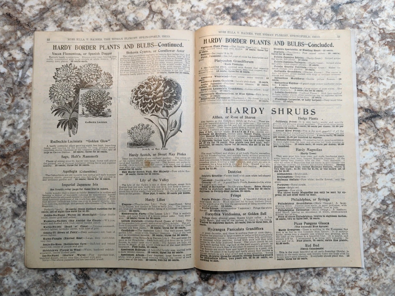 1910 The Woman Florist, Miss Ella V Baines Spring Illustrated Catalogue
