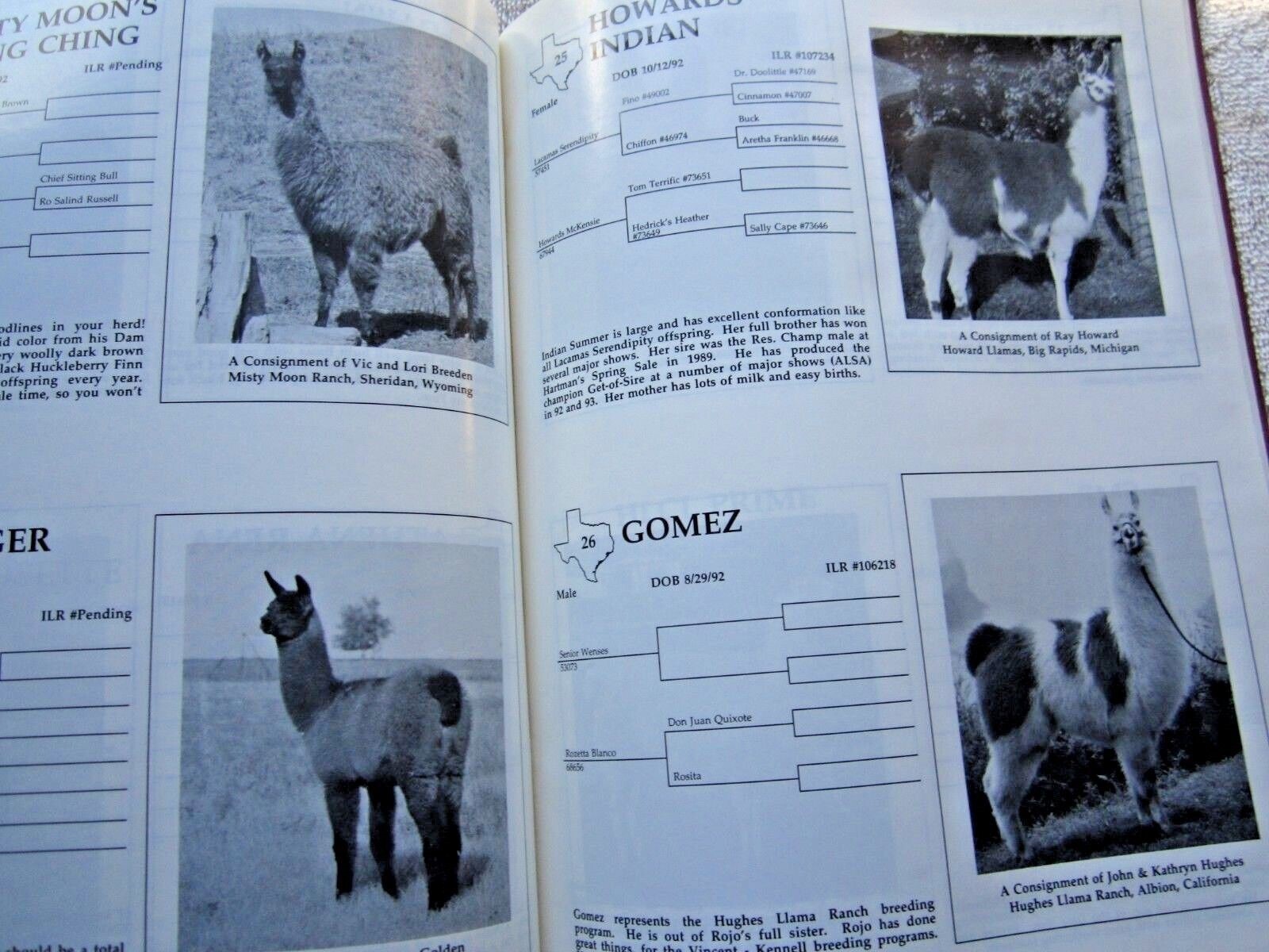 1994 SCLA FORT WORTH TEXAS LLAMA SCHEDULE SALE CATALOG BOOK