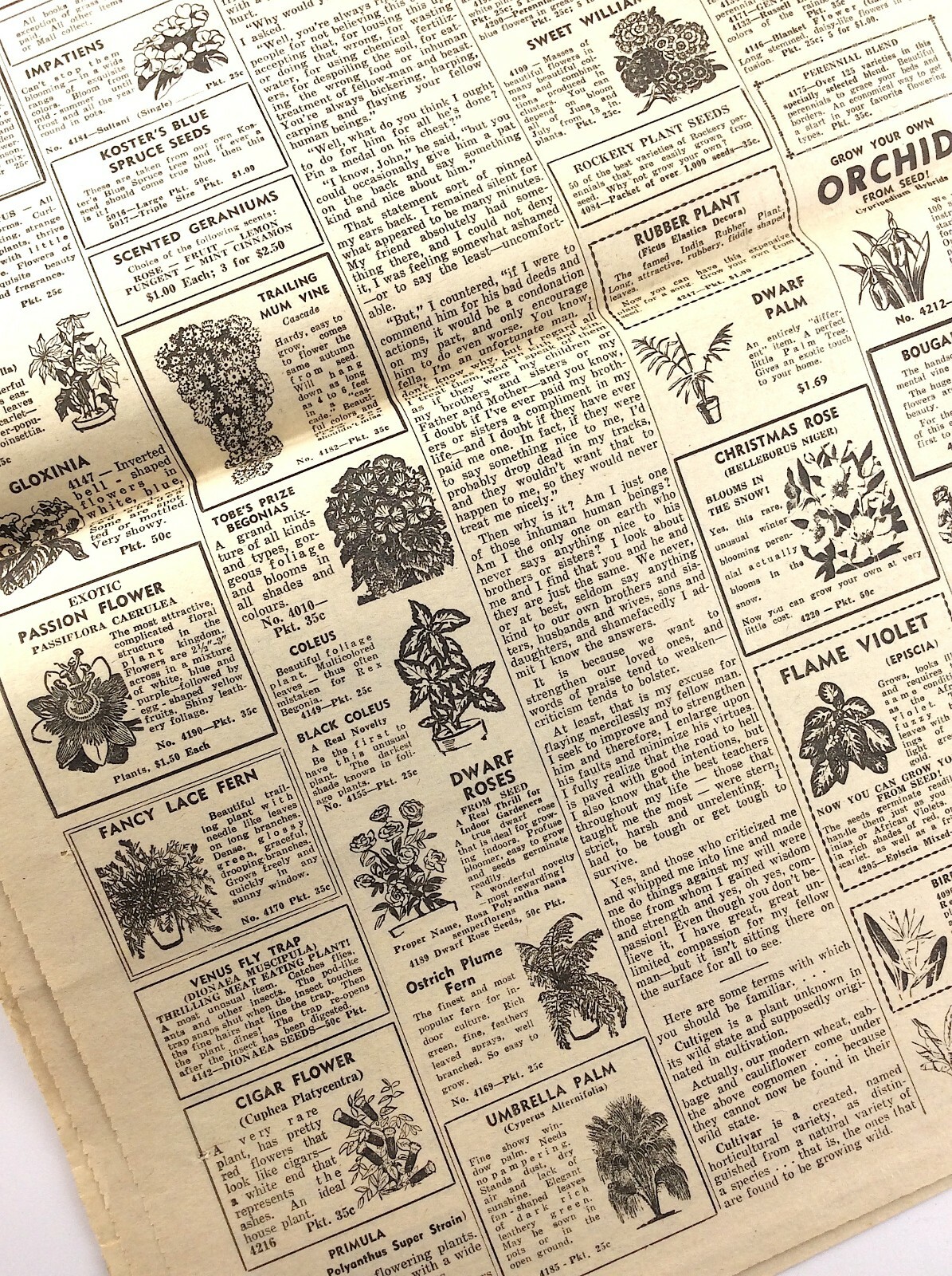 Fall 1964 Growing Flowers Seed Plant Catalog Flyer St Catherines Ontario Q272
