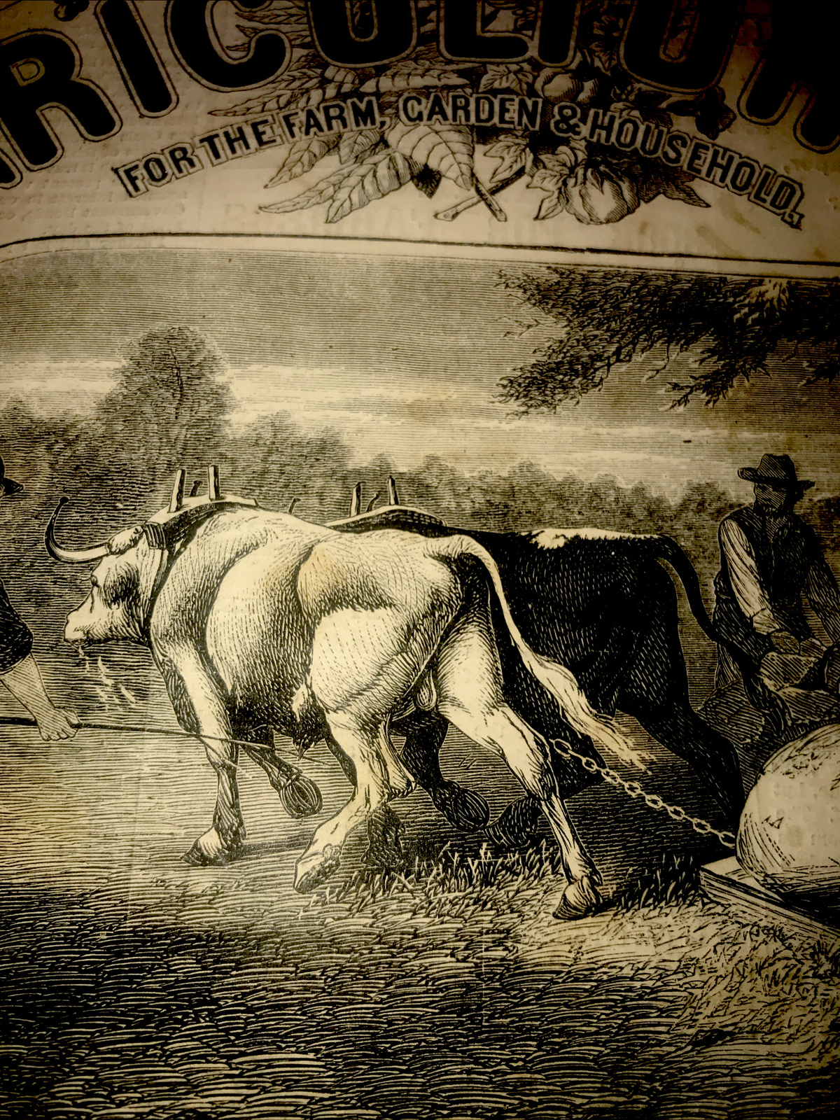 ORIGINAL 1872 Settler Farm Engraving Advertising