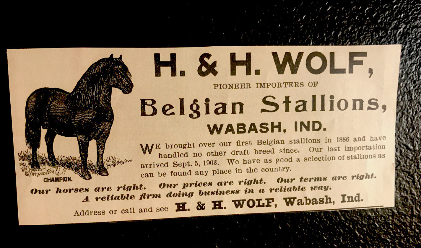 1903 H. & H. Wolf Stallion & Mare Horse Advertising – Wabash – Indiana