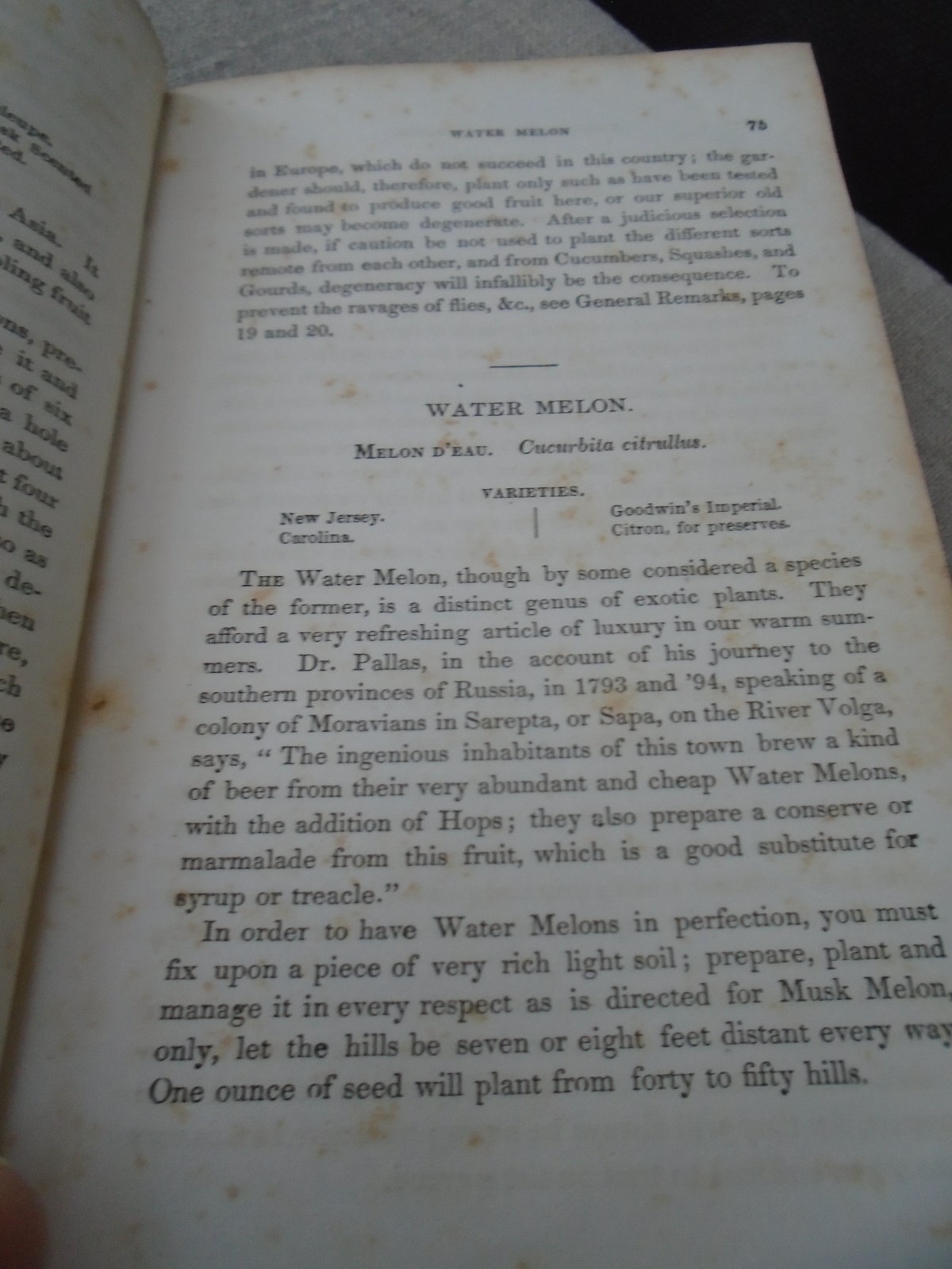 Rare 1857 Seed Catalogue Kitchen Gardner’s Instructor Thomas Bridgeman New Ed
