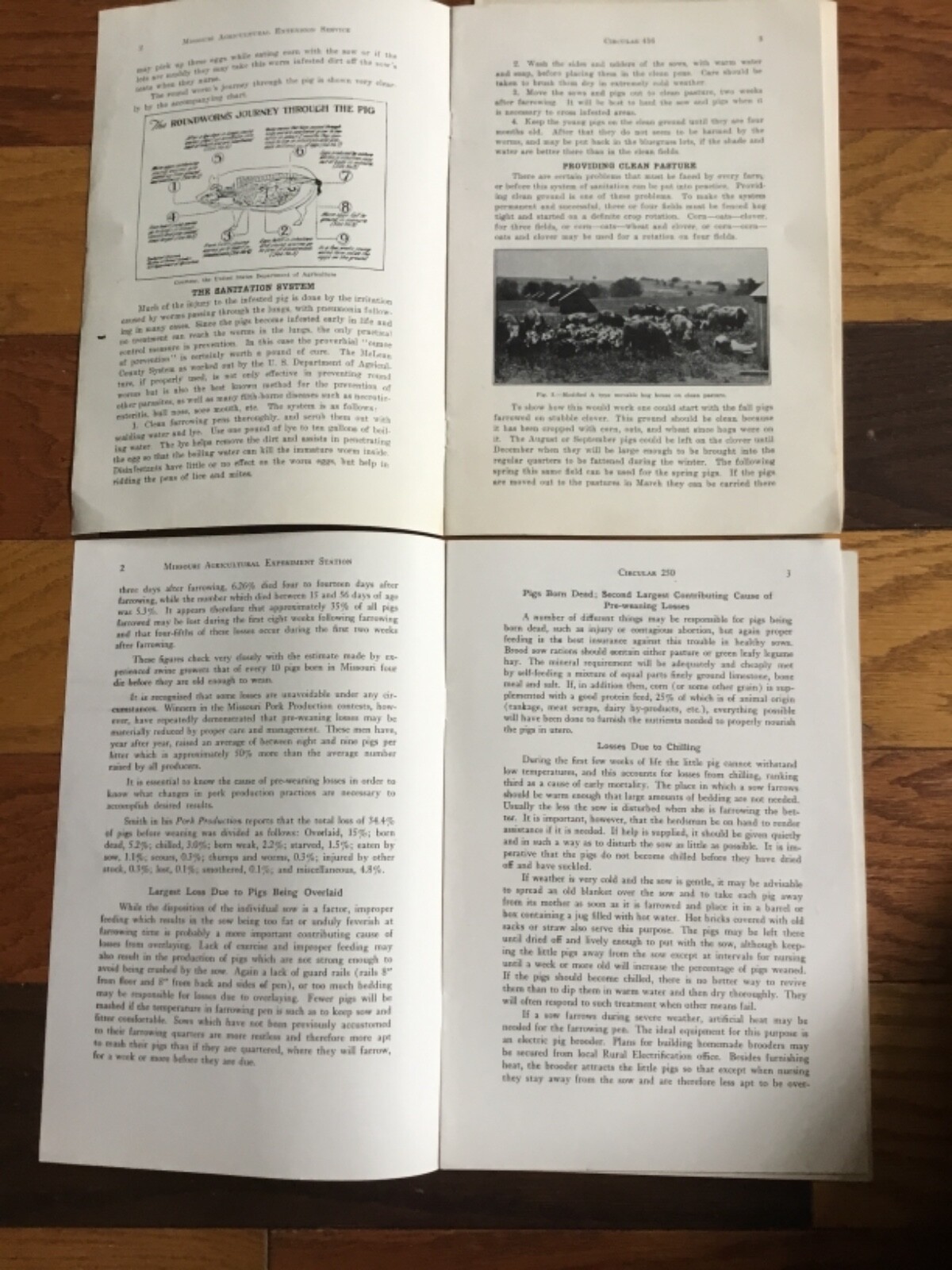 WWII Era Brochure x4 Univ. of MO Hog farming, weaning, efficiency + 1930’s-40’s