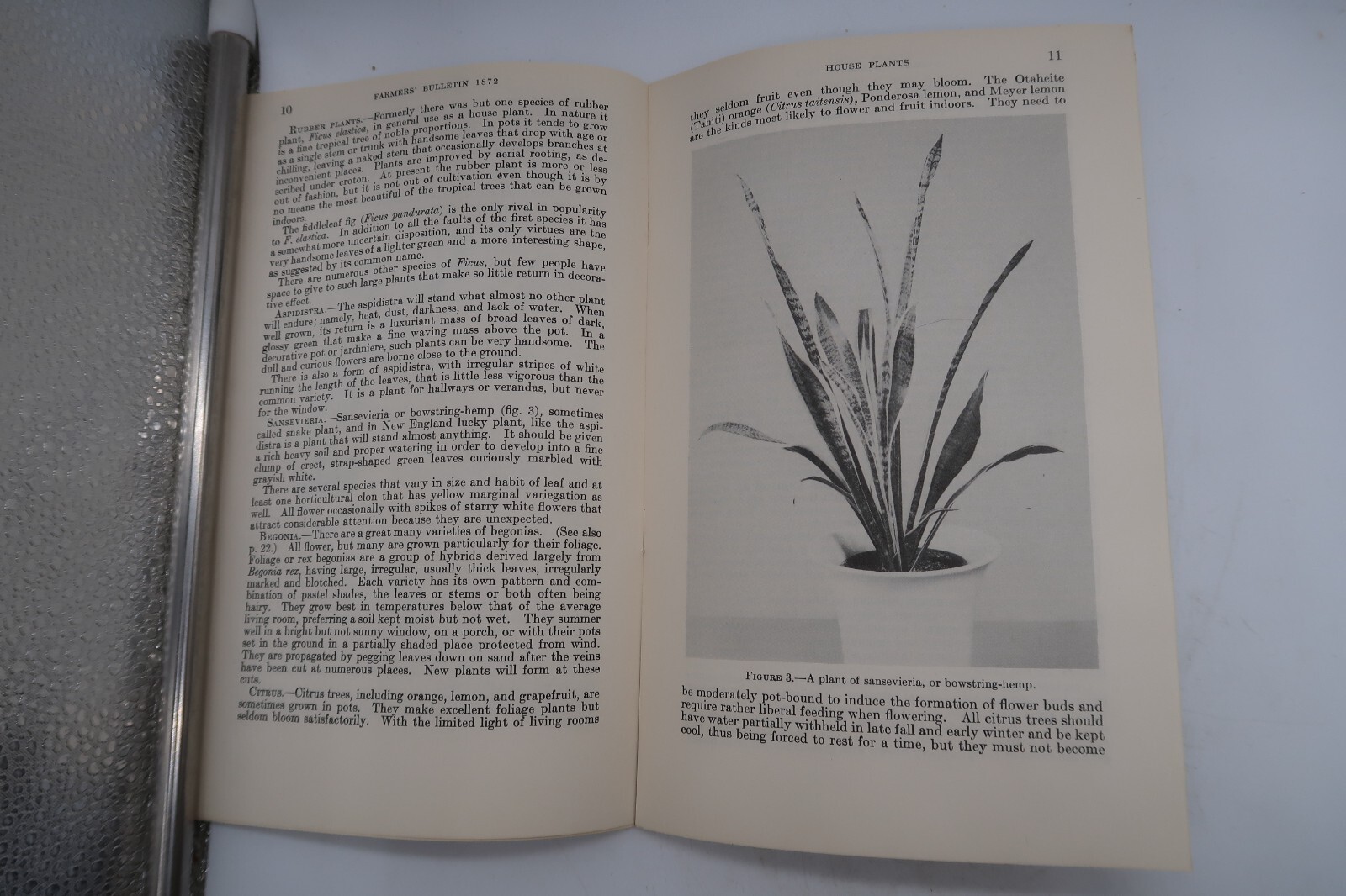 1941 USDA Farmers’ Bulletin No. 1872 House Plants Ephemera Furman Lloyd Mulford