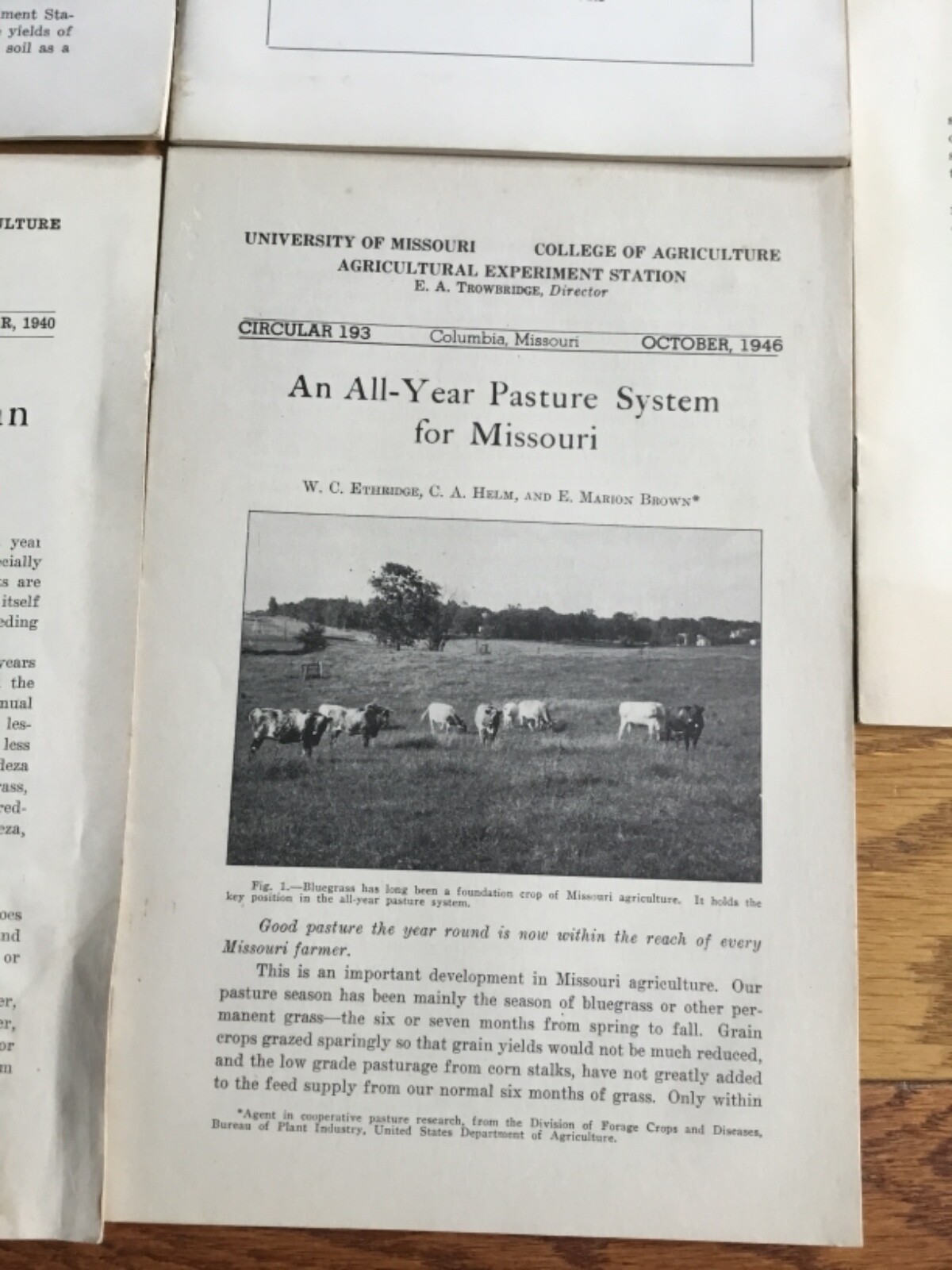 WWII Era Brochure x5 Univ. of MO crops, pastures,wheat, lespedeza+ 1930’s-40’s