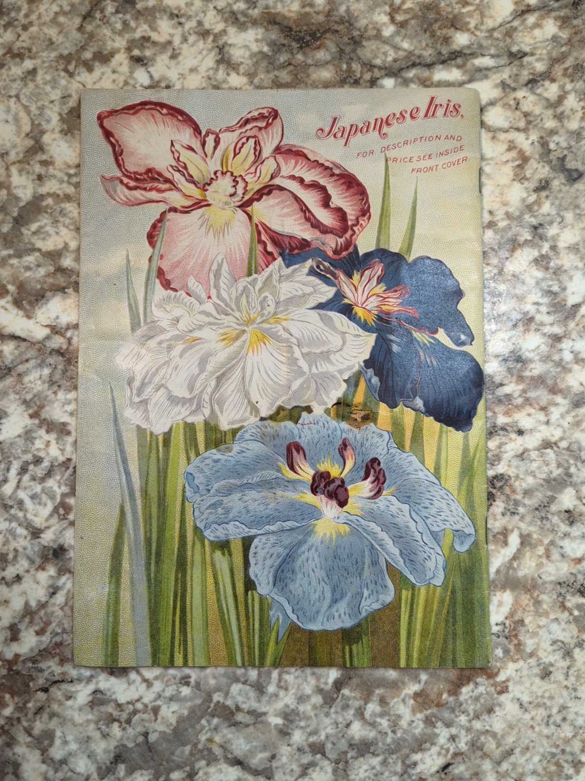 1910 The Woman Florist, Miss Ella V Baines Spring Illustrated Catalogue