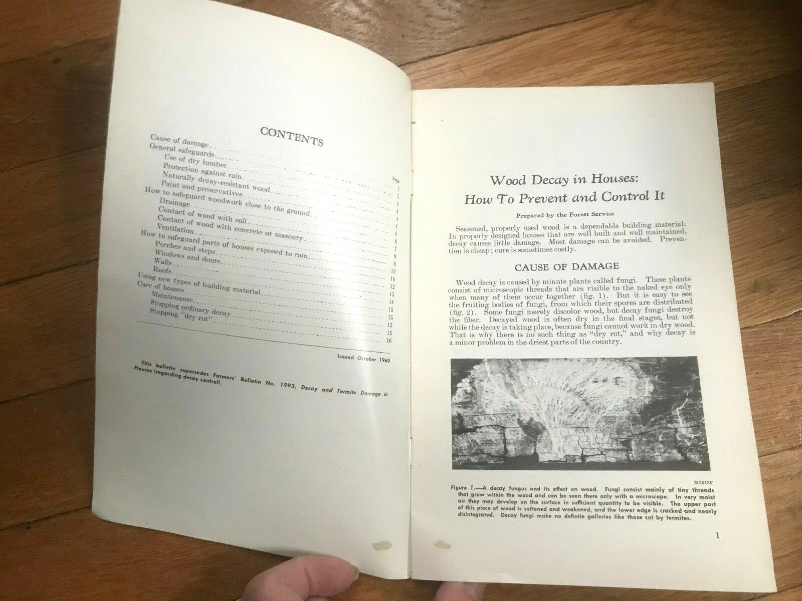 Vtg Wood Decay in Houses US Dept of Agriculture 1960s Booklet #73 – A52