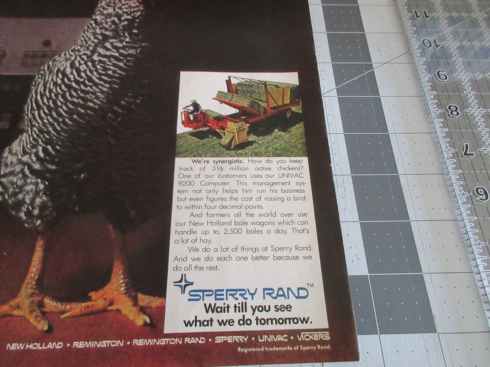 1970 Sperry Rand “One Day We Count Chickens. The Next Day We Make Hay” Print Ad