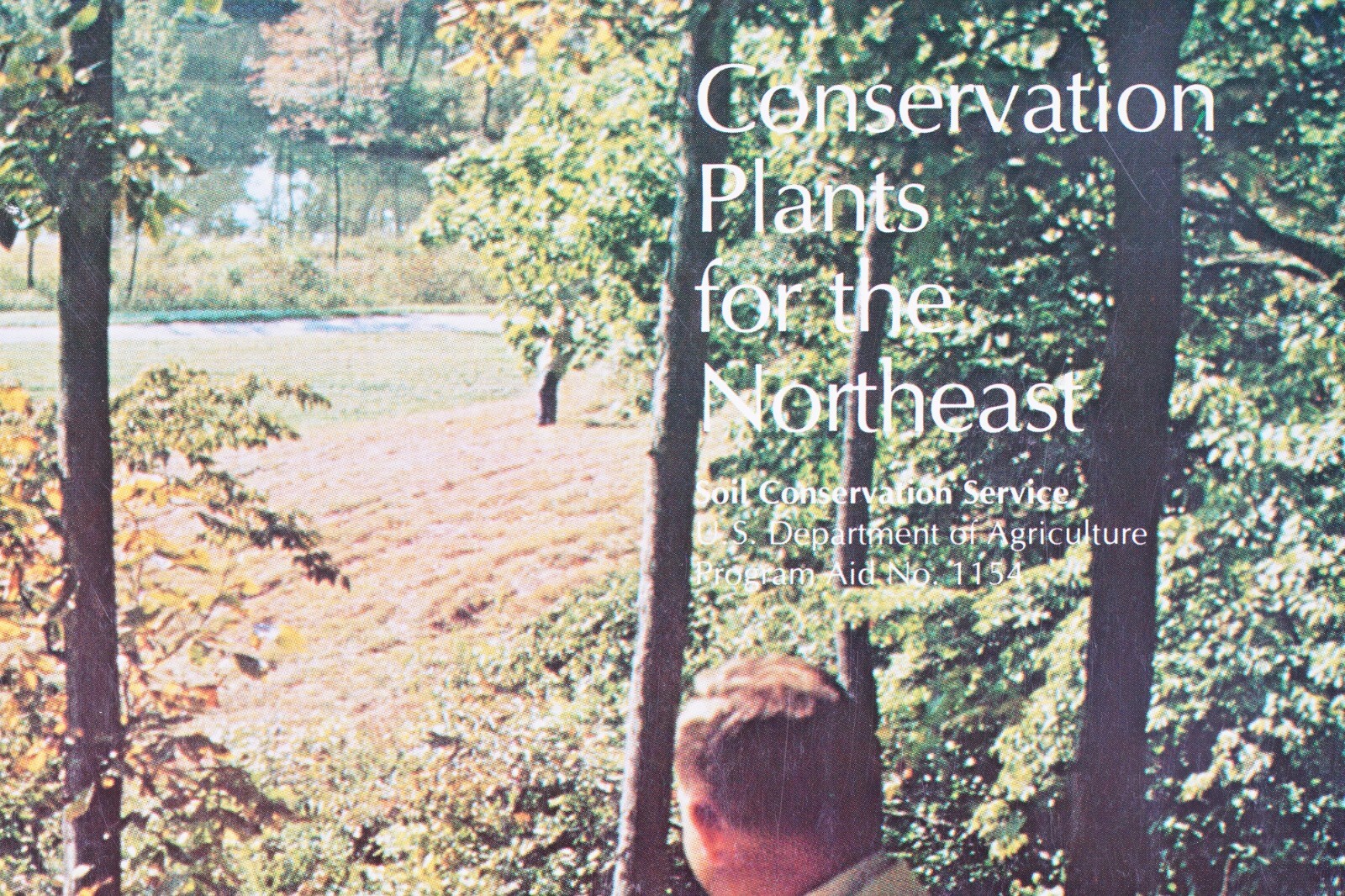 1977 USDA Conservation Plants for the Northeast Agricultural Brochure No. 1154