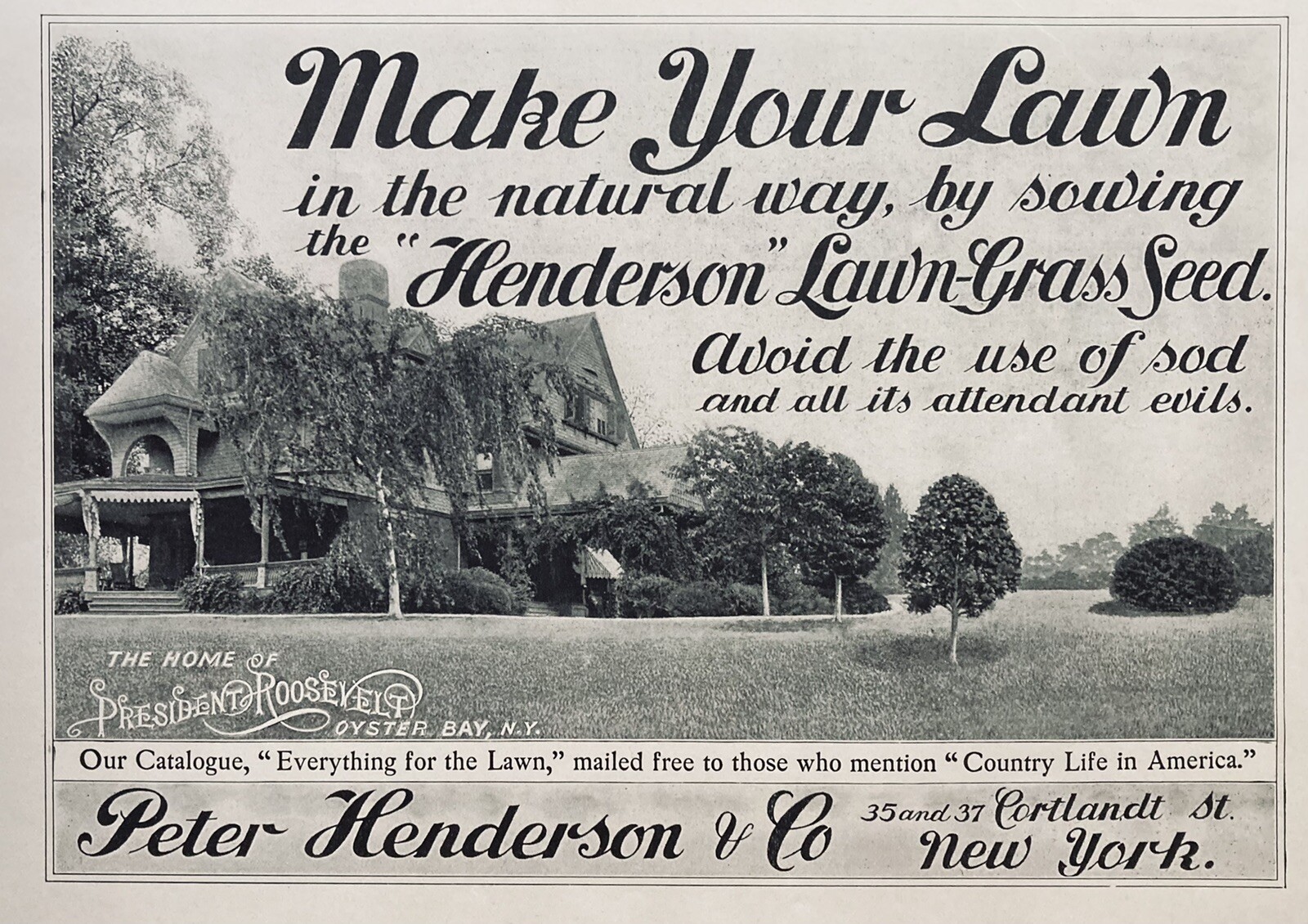 1903 AD.(XH47)~PETER HENDERSON CO. NYC. LAWN GRASS SEED FOR PRESIDENT ROOSEVELT