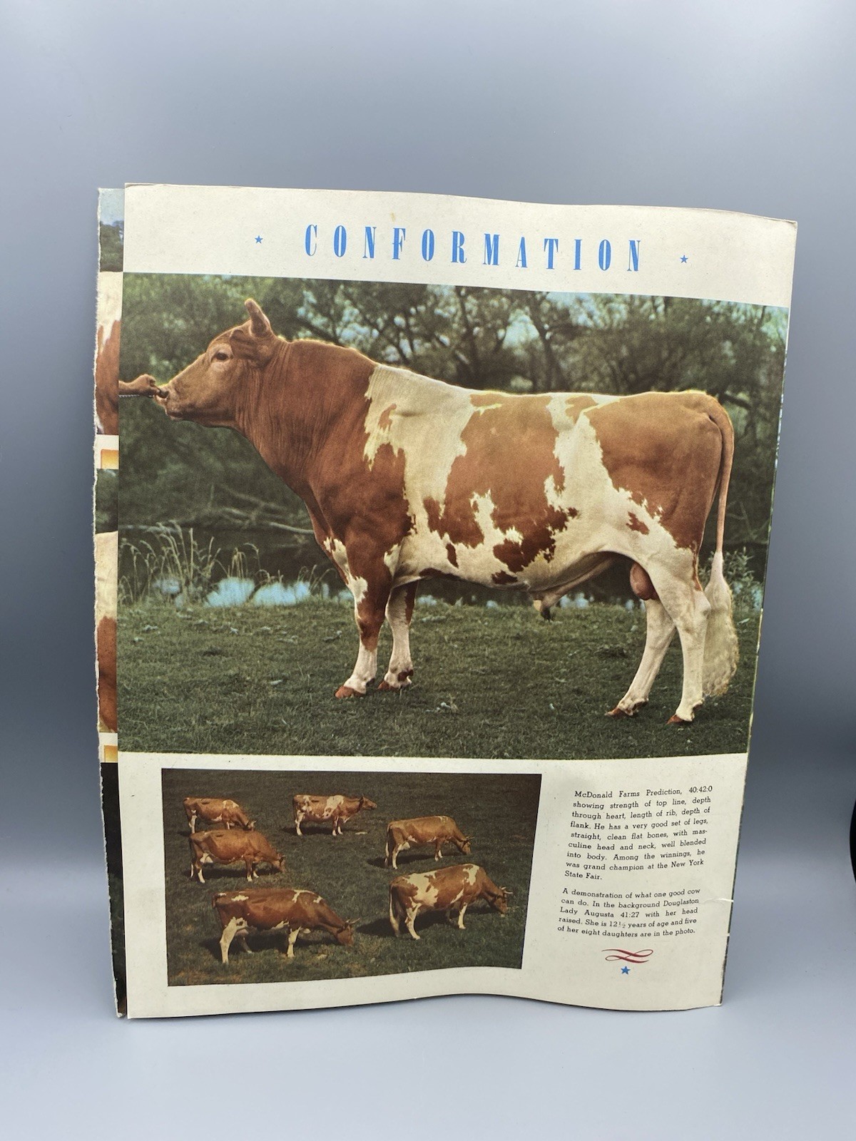 American Guernsey Cattle Club Booklet “Creating a Standard of Excellence”