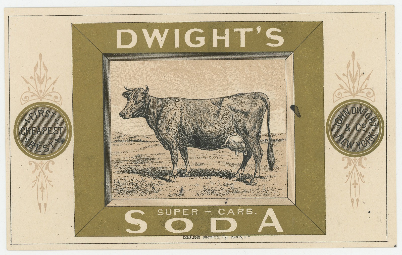 Dwights Soda Super Card Cow Awaits Milking ME 1880’s Trade Card