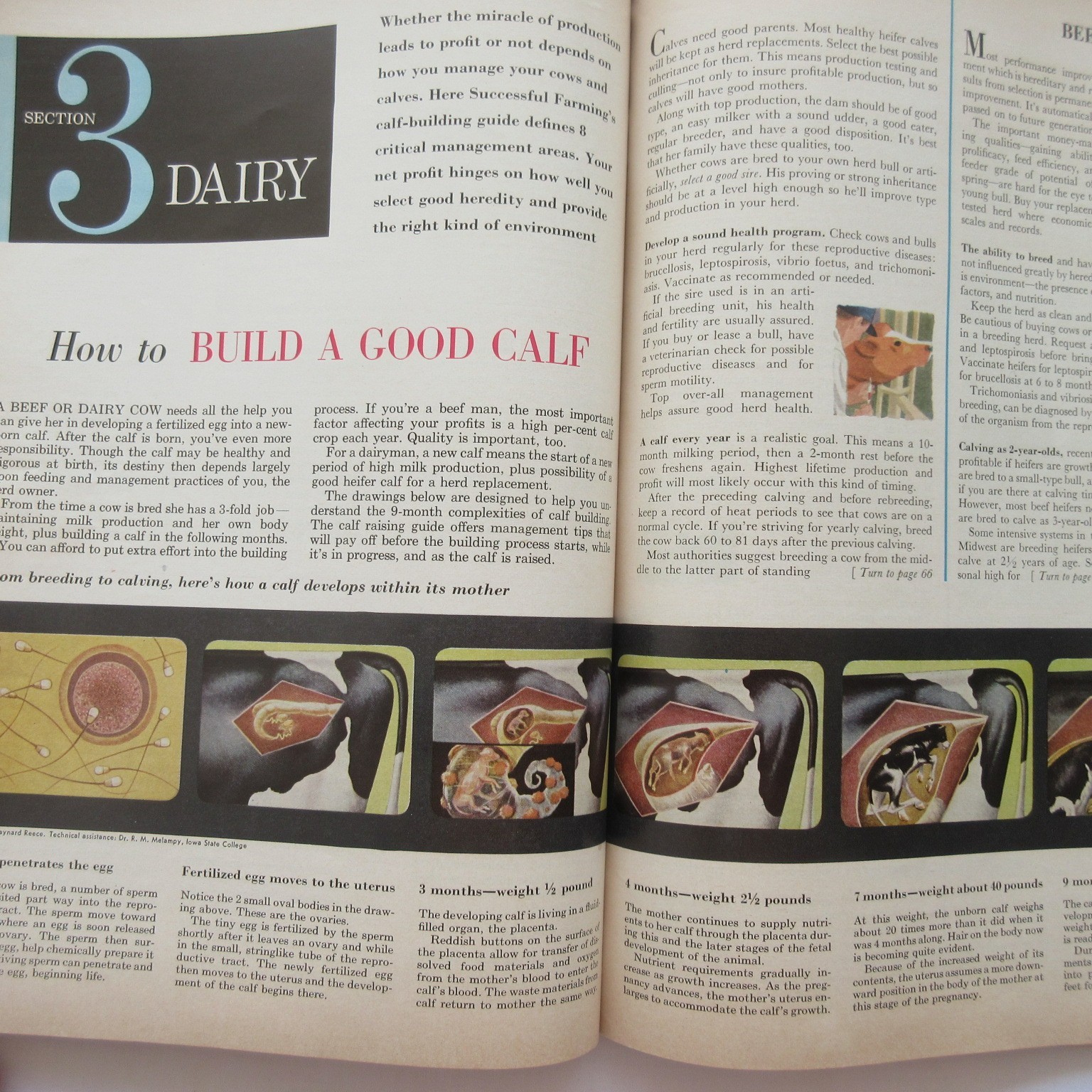 Vintage 1959 Successful Farming’s Livestock Book Beef Hogs Dairy Poultry Sheep