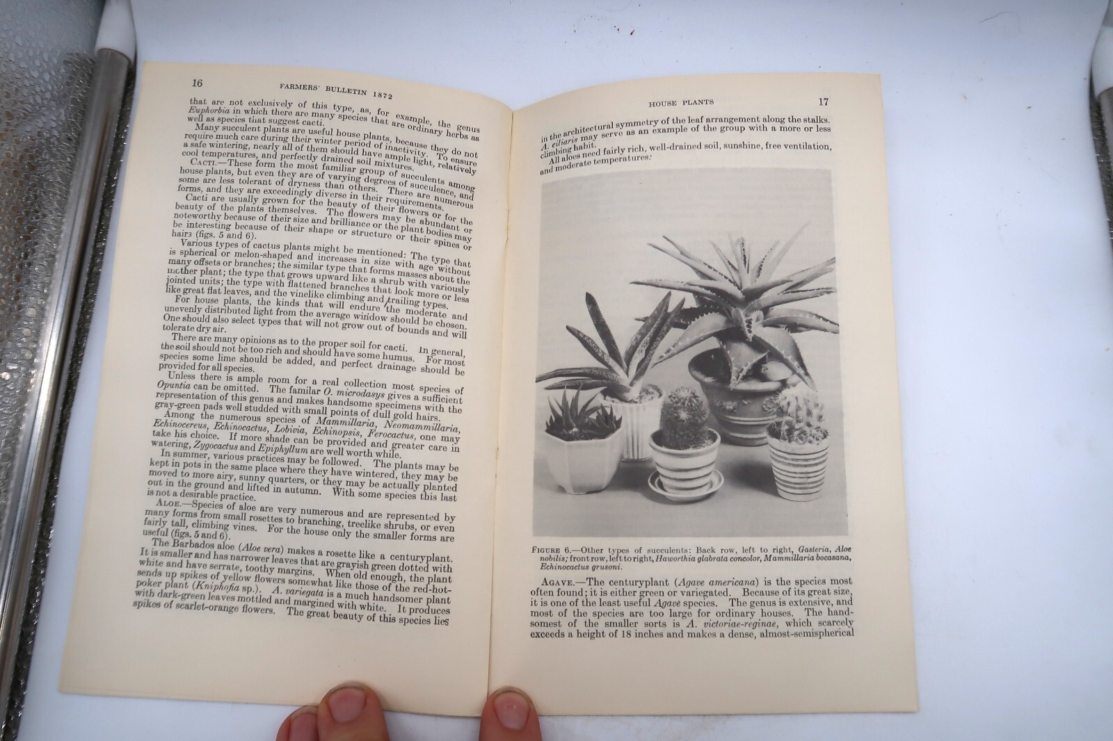 1941 USDA Farmers’ Bulletin No. 1872 House Plants Ephemera Furman Lloyd Mulford