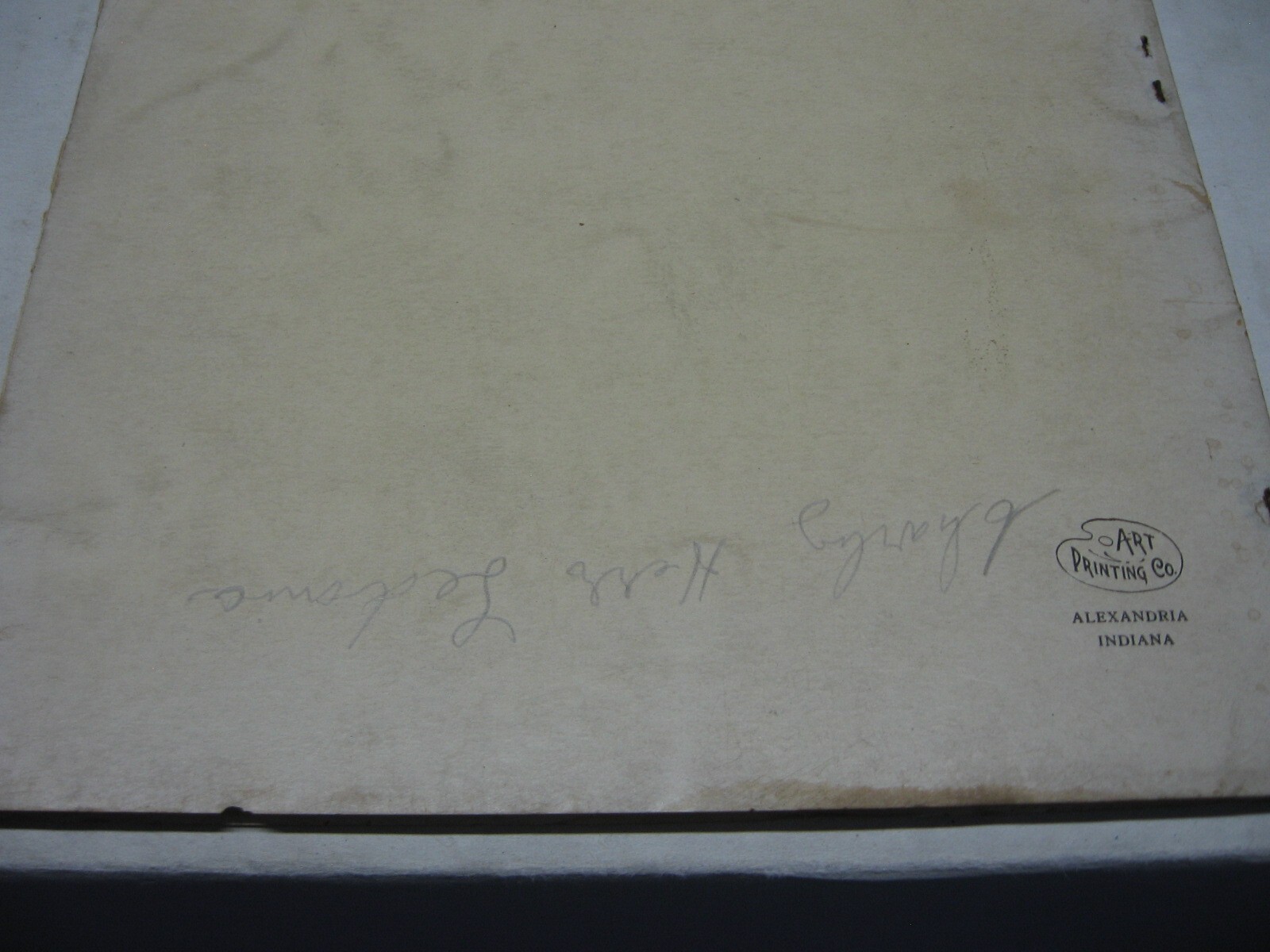 1920 Mr. Coe Laughlin Belle Center Ohio Registered Jersey Cattle Auction Listing