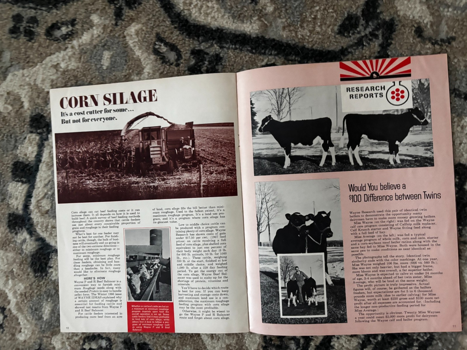 Wayne Feeds Idea Magazine for Summer 1967 Brochure DCPA26