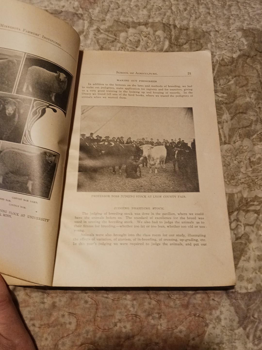 1904 Minnesota Farmers Institute Annual No. 17 Ag Education Listing And Ads