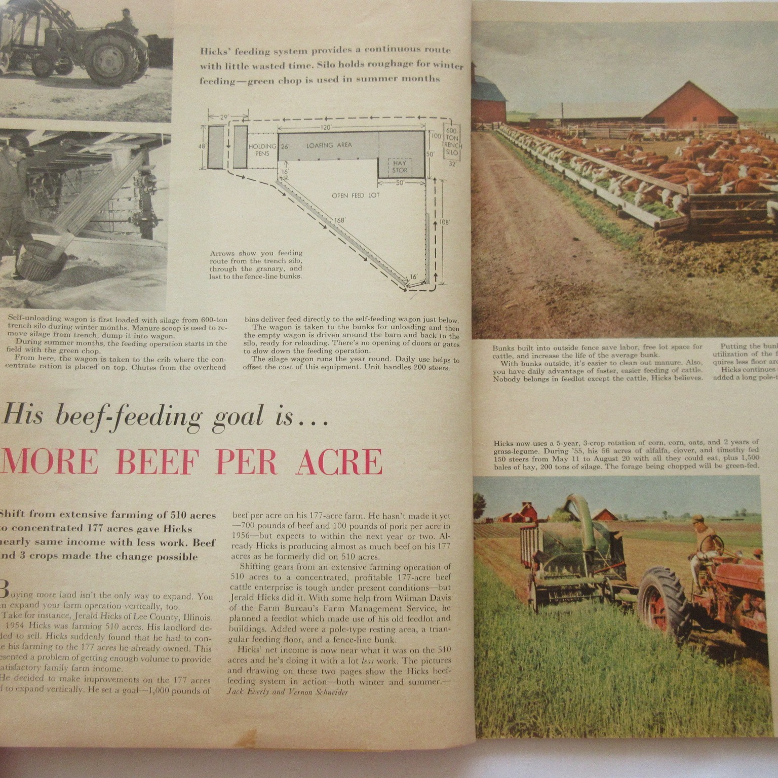 Vintage 1959 Successful Farming’s Livestock Book Beef Hogs Dairy Poultry Sheep
