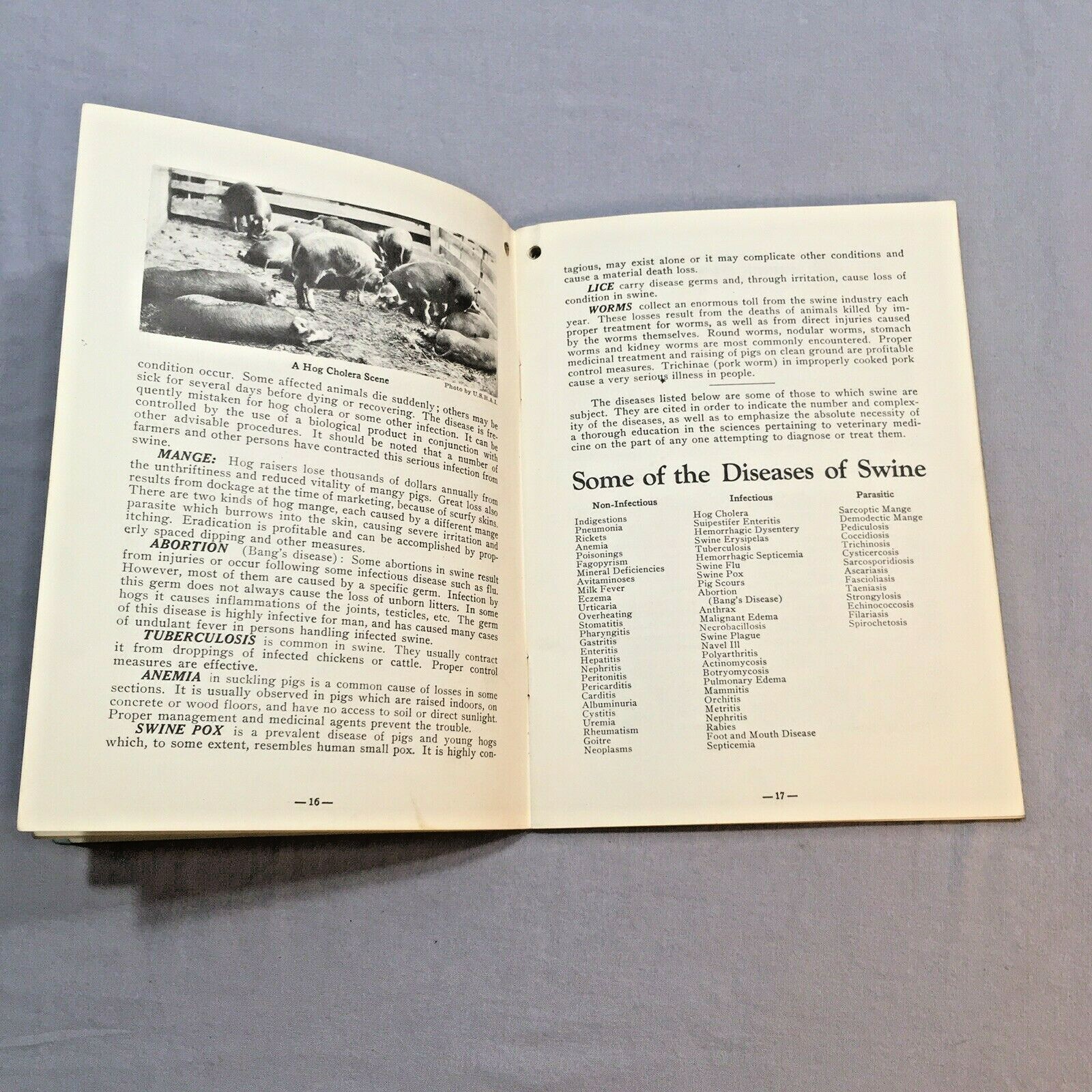 Vintage Agricultural Advertising for Associated Serum 1935 Livestock Handbook