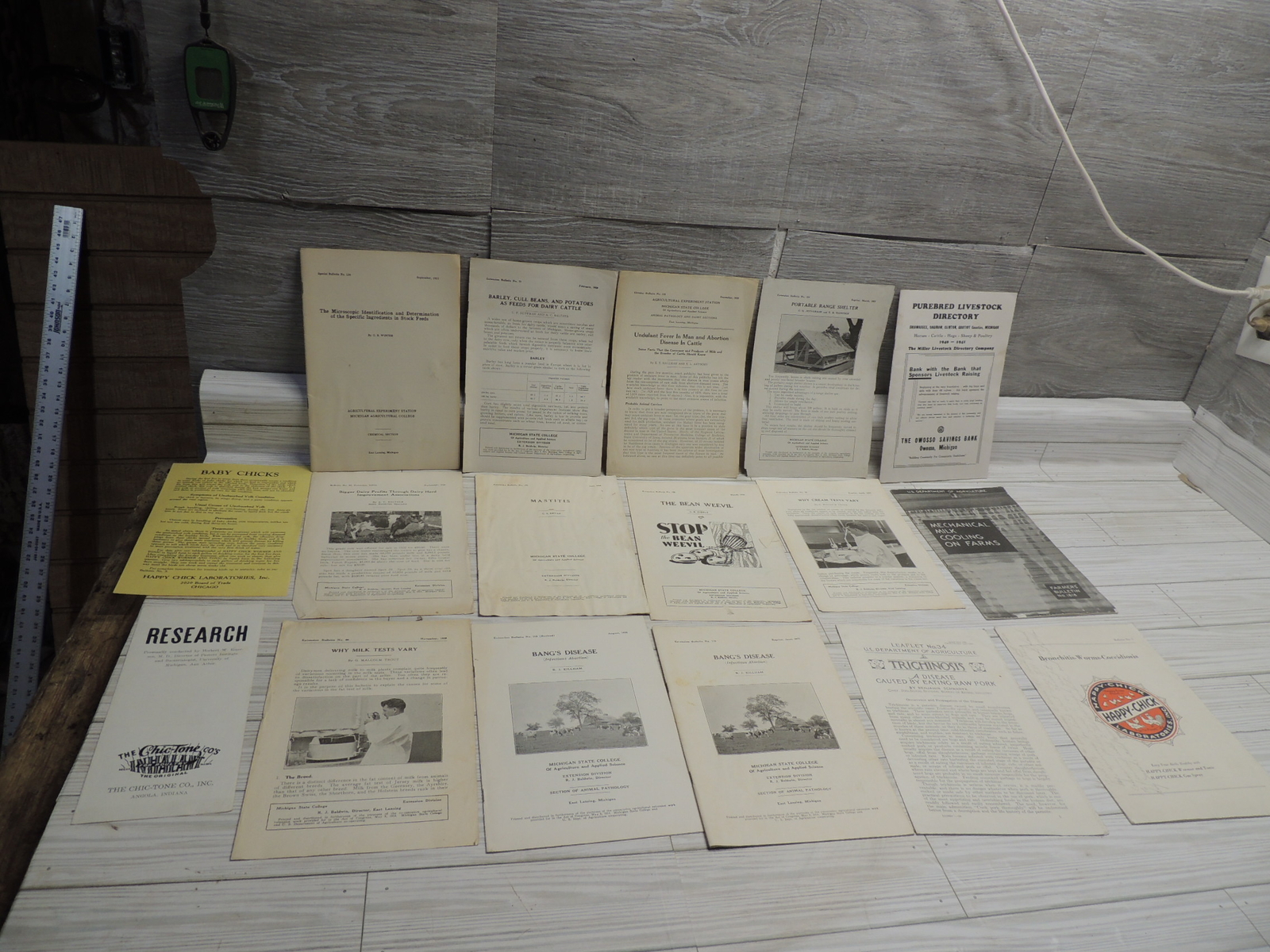 Lg Lot of Michigan State & USDA Bulletins 1920s-1930’s Plus Happy Chick Brochure