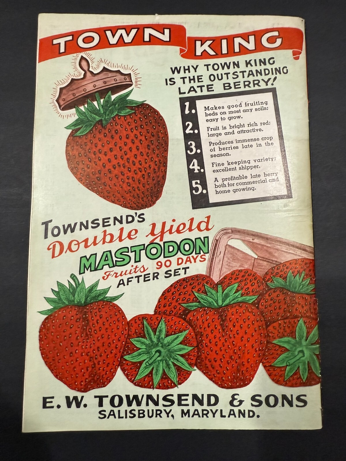 1934-39 Townsend’s & South Michigan Fruit, Flowers, Seed Brochures…..2 Items