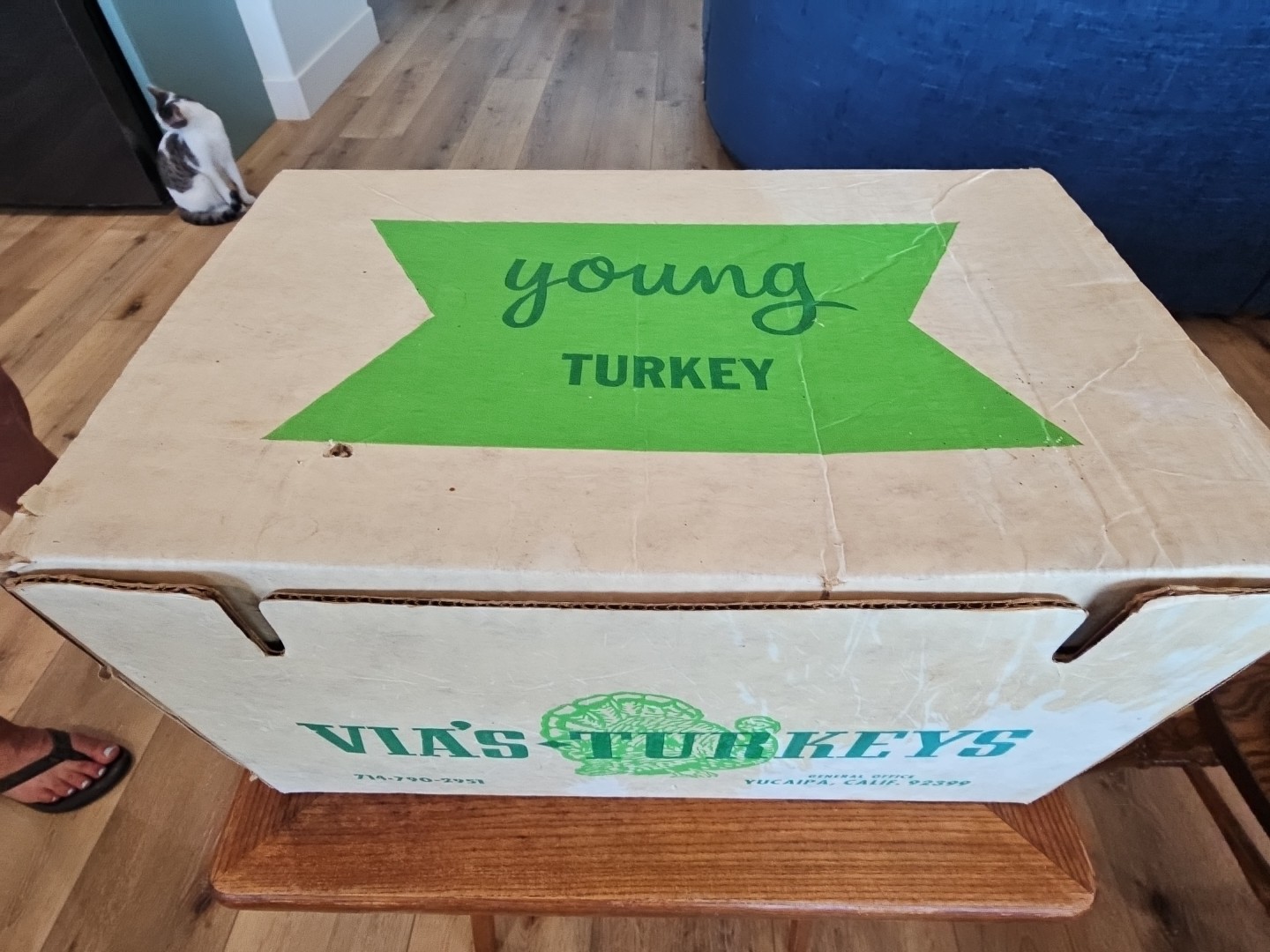 Vintage Cardbord Box Via’s Turkeys Yucaipa Ca. 17×11″ Good HANDLES 👍 1970’s