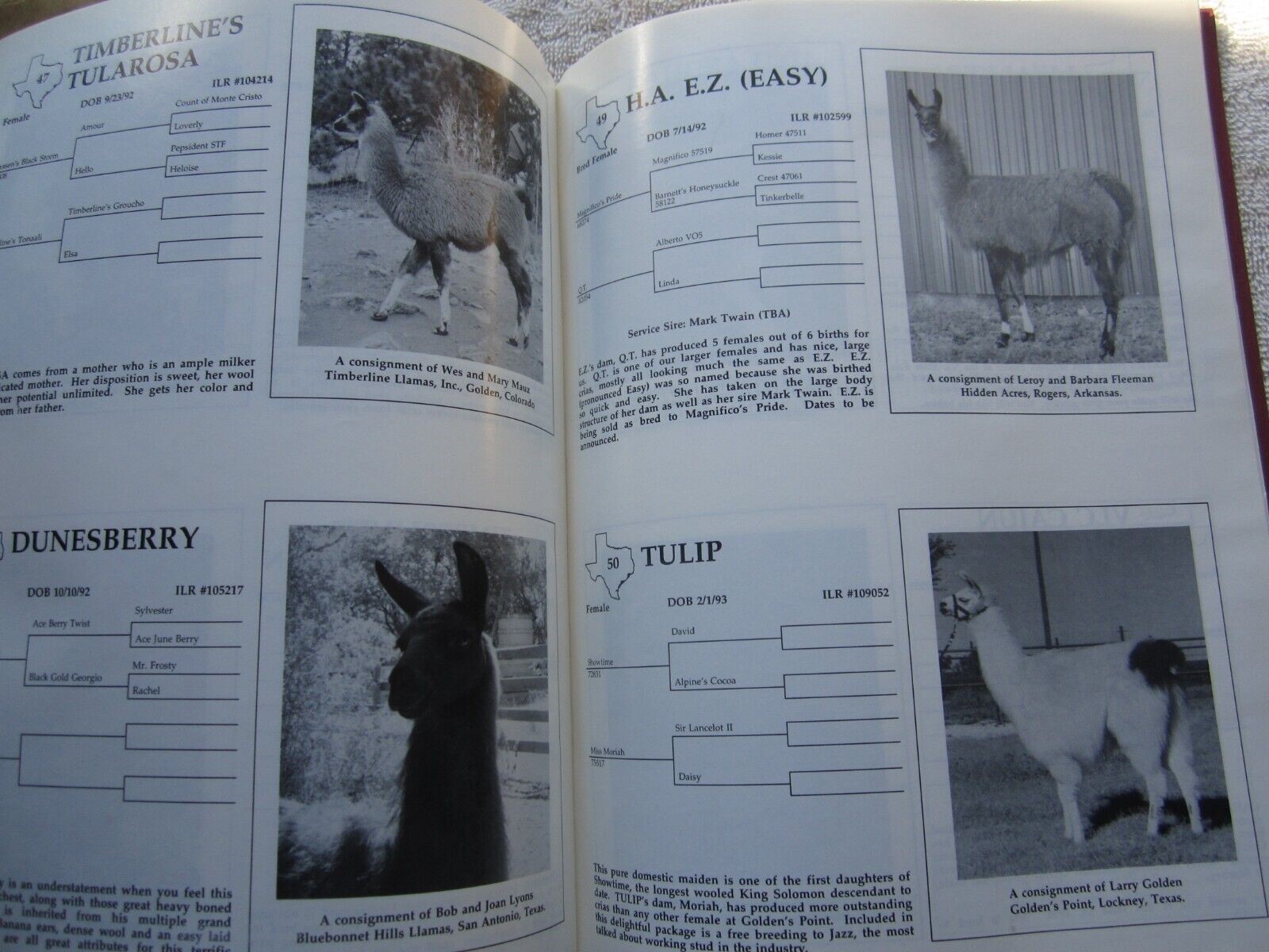 1994 SCLA FORT WORTH TEXAS LLAMA SCHEDULE SALE CATALOG BOOK