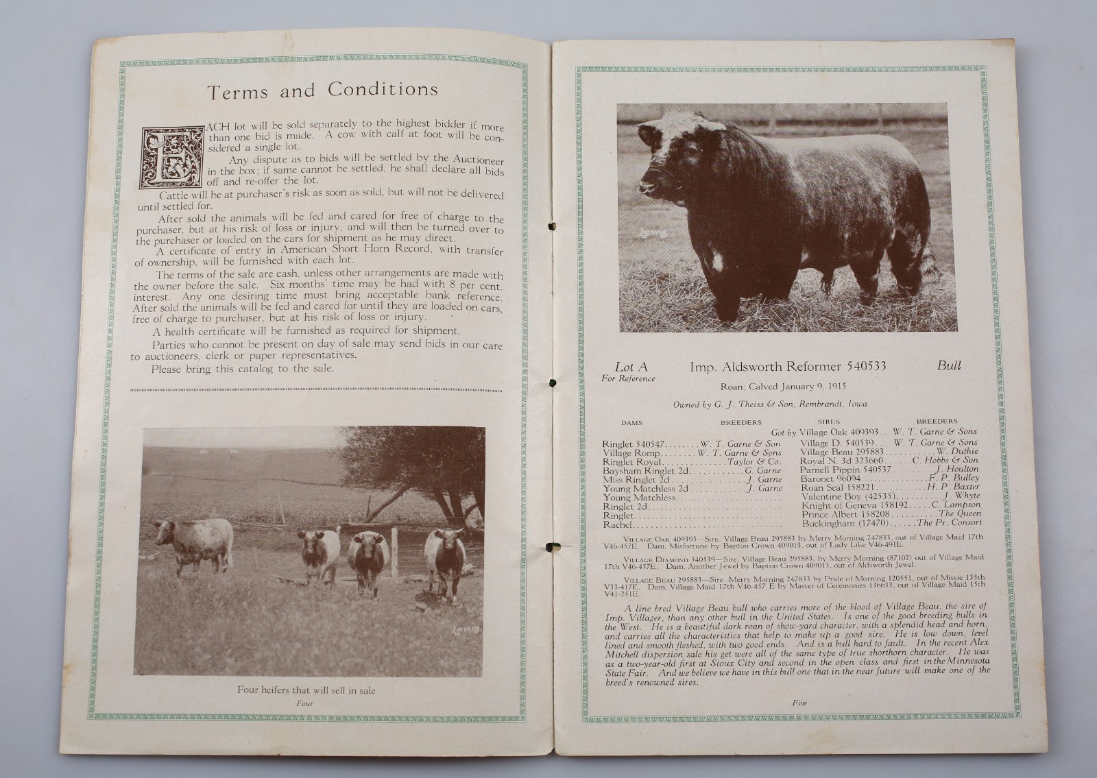 Vintage 1918 Paramount Shorthorns Livestock Sale Catalog Rembrandt Iowa