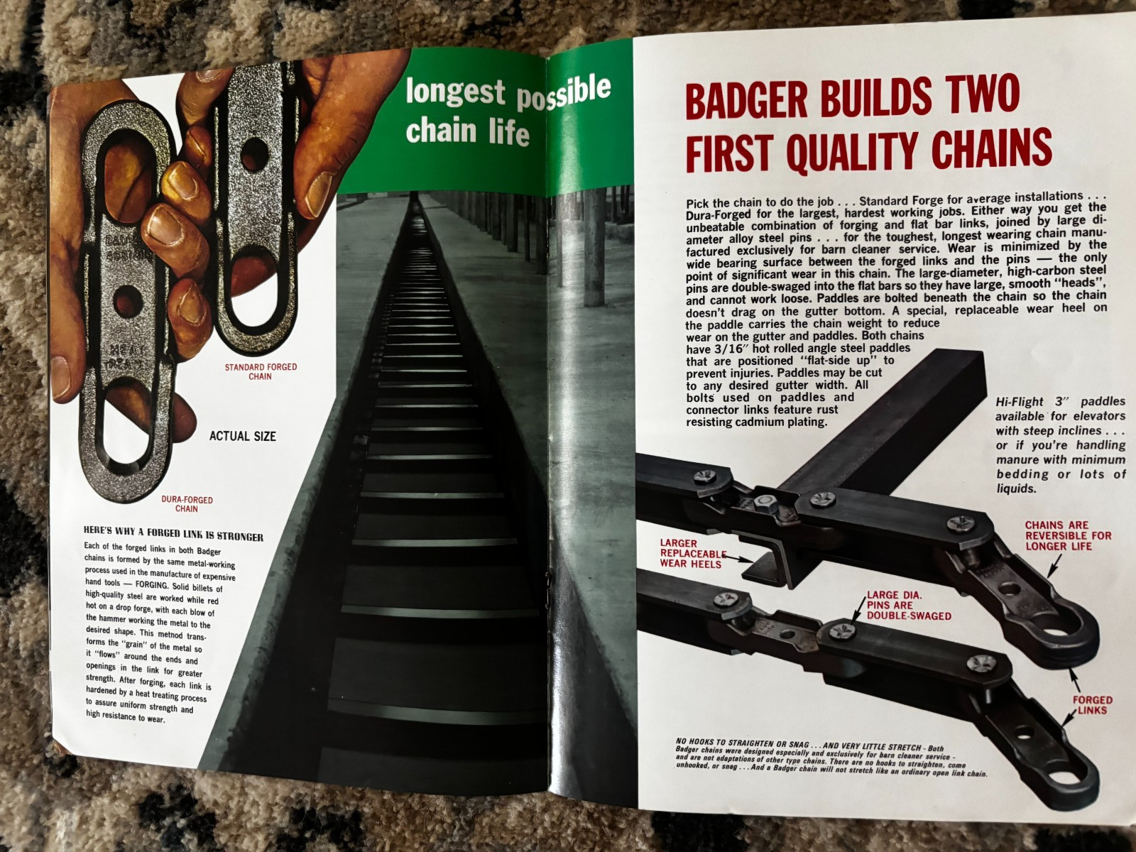 Badger Barn Cleaners For 1975 Brochure DCPA26