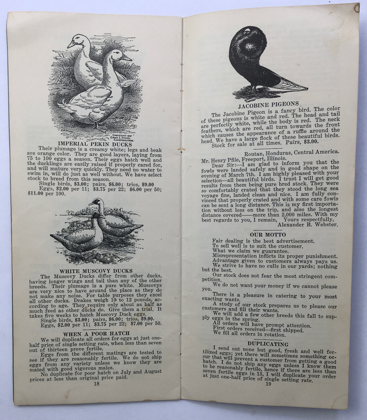 1930’s Henry Pfile Poultry Catalog Freeport IL Chickens Fowl Growers Guide