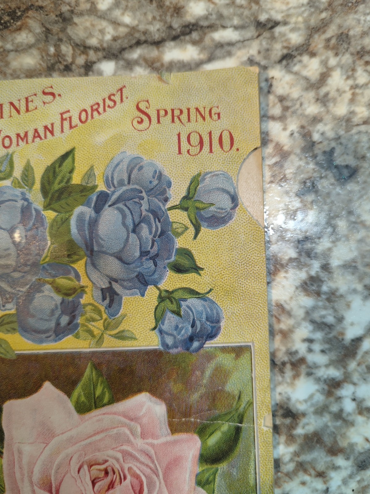 1910 The Woman Florist, Miss Ella V Baines Spring Illustrated Catalogue
