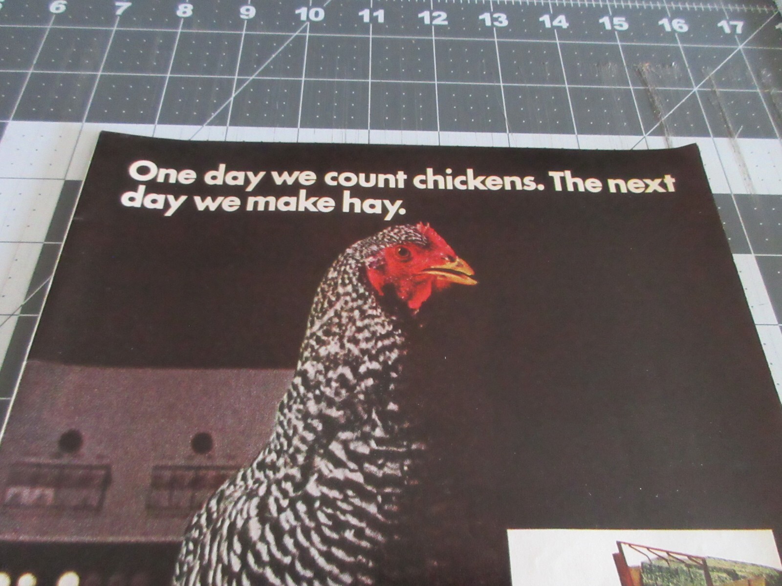 1970 Sperry Rand “One Day We Count Chickens. The Next Day We Make Hay” Print Ad