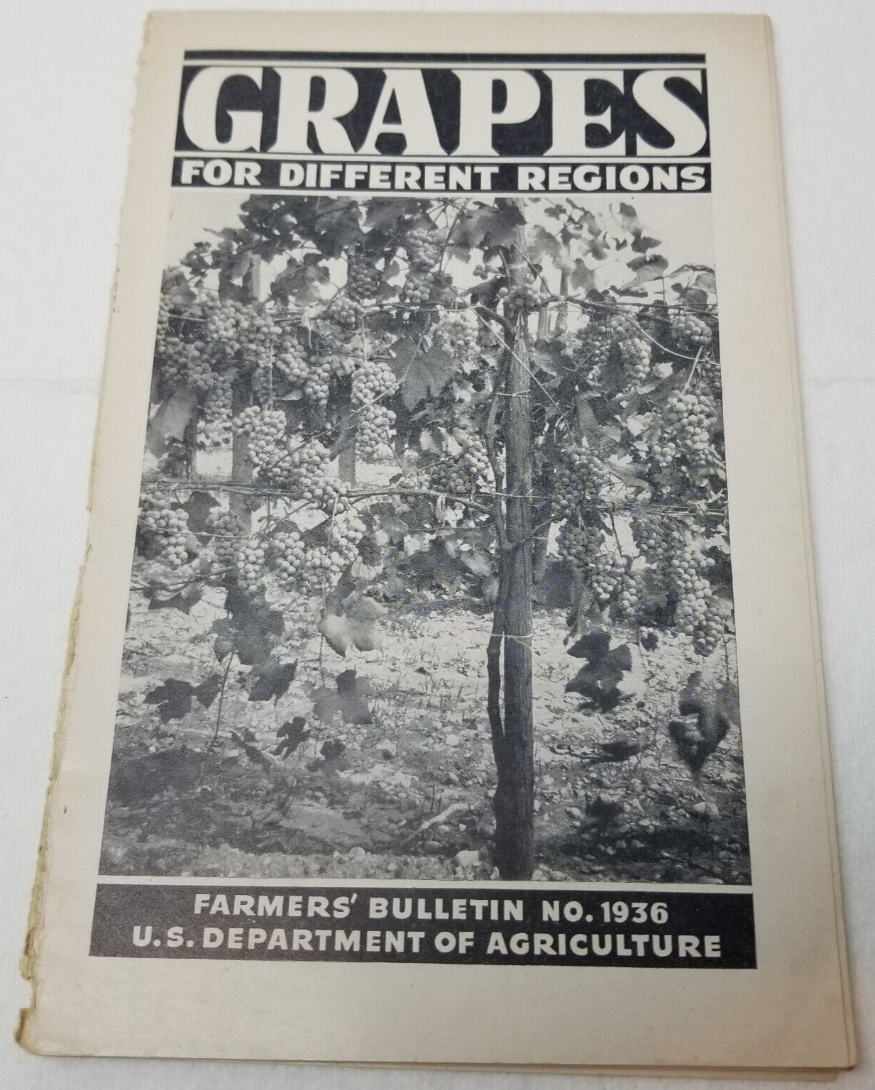 Grapes for Different Regions 1943 Farmers’ Bulletin Booklet 1936 USDA Photos
