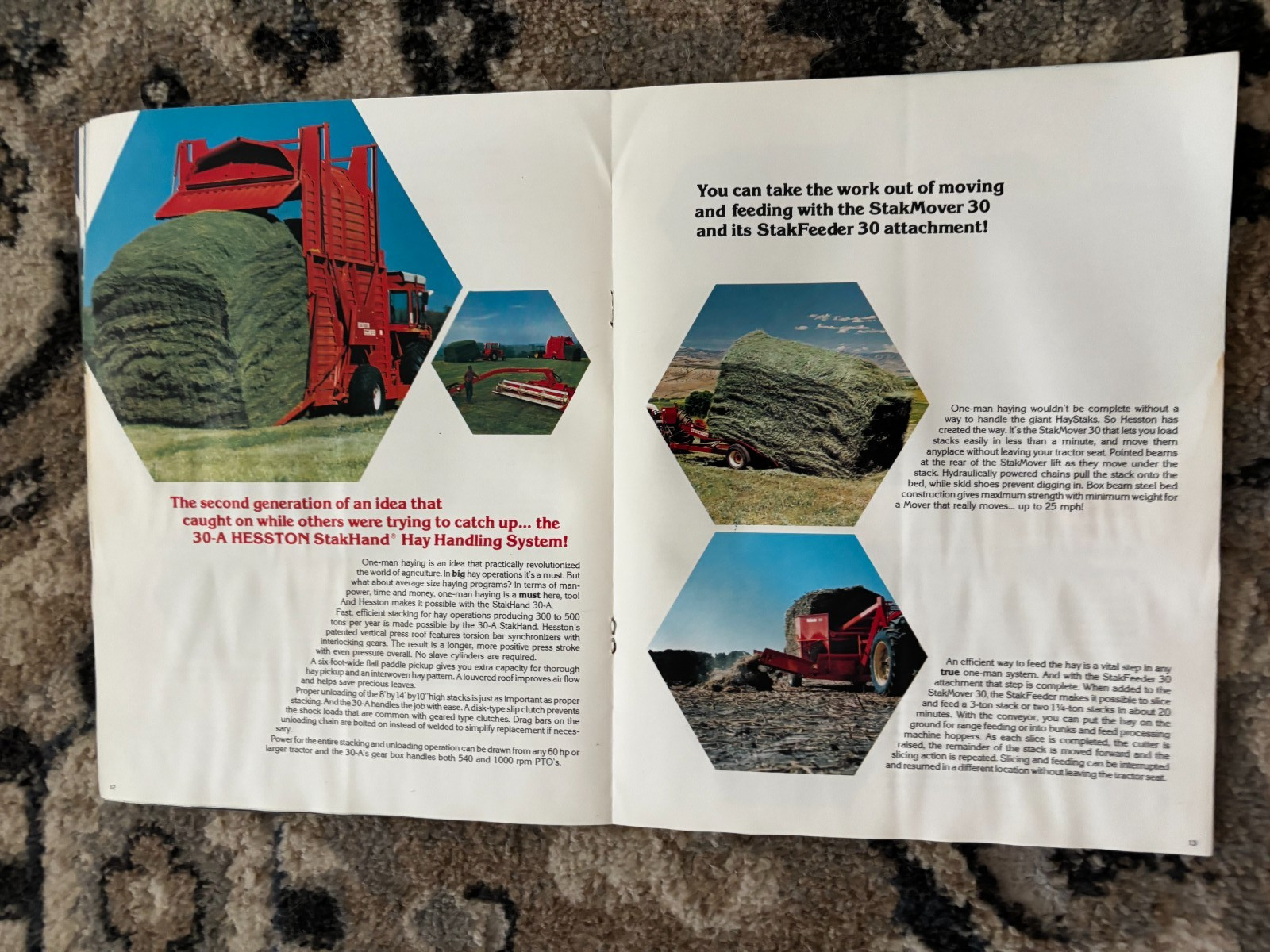 Hesston Buyers For 1974 Brochure DCPA26