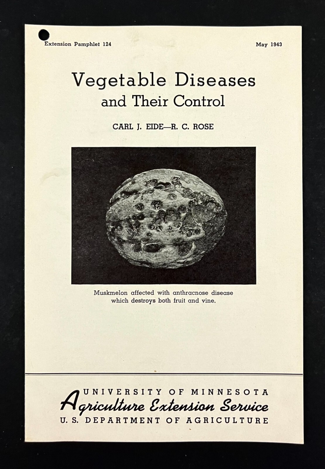 1943 Control Vegetable Diseases Gardening Vintage Farmer’s Extension Pamphlet