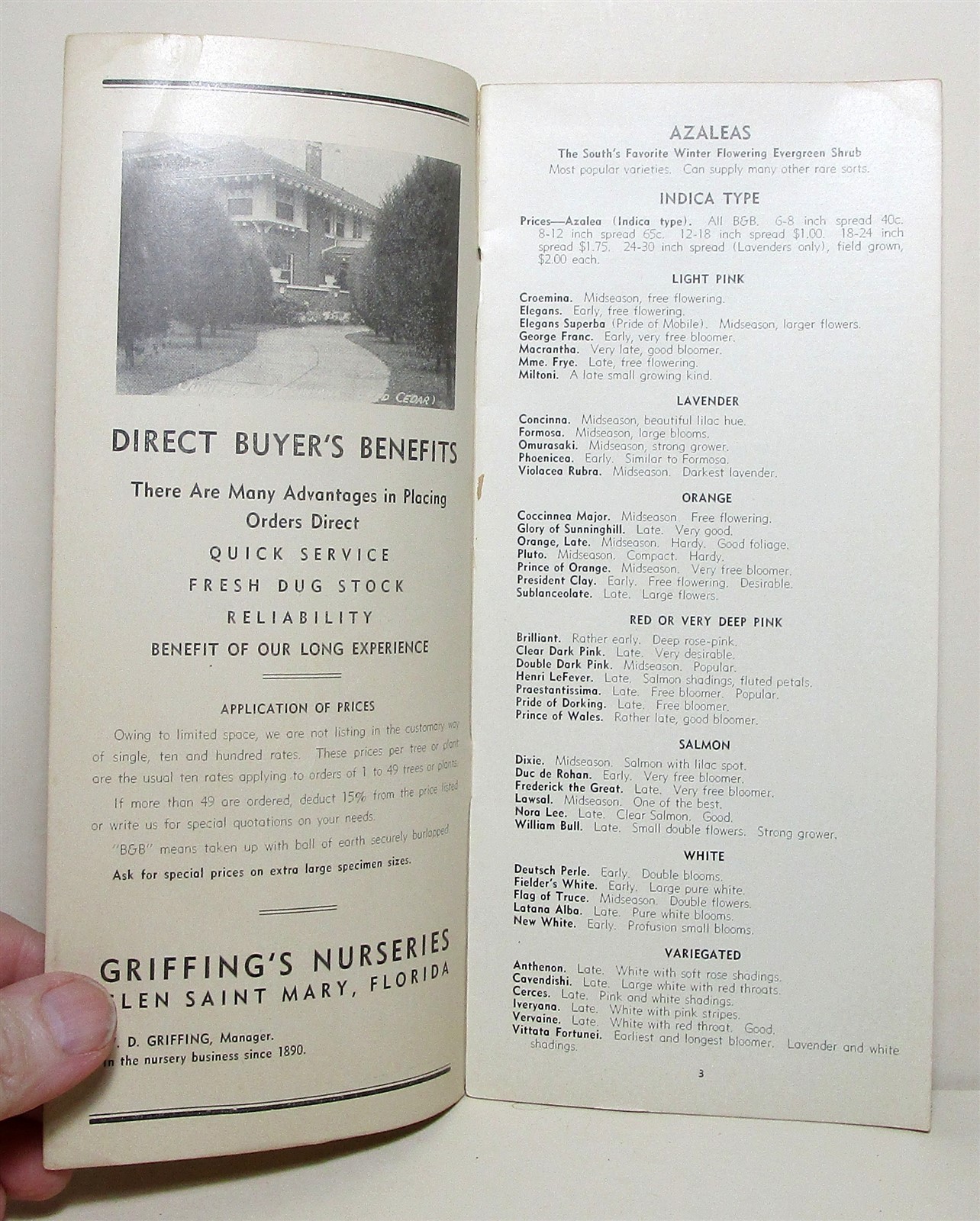 1936 Griffing’s Nurseries tree & plant buyer’s guide, Glen Saint Mary Florida
