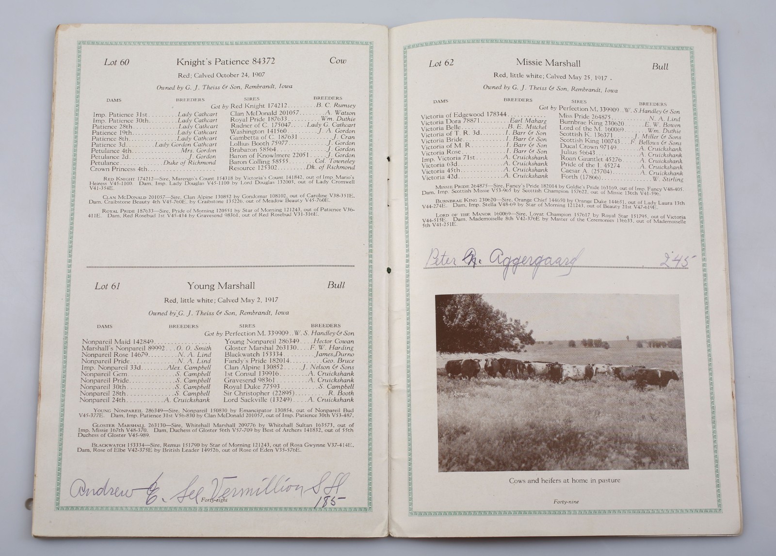 Vintage 1918 Paramount Shorthorns Livestock Sale Catalog Rembrandt Iowa